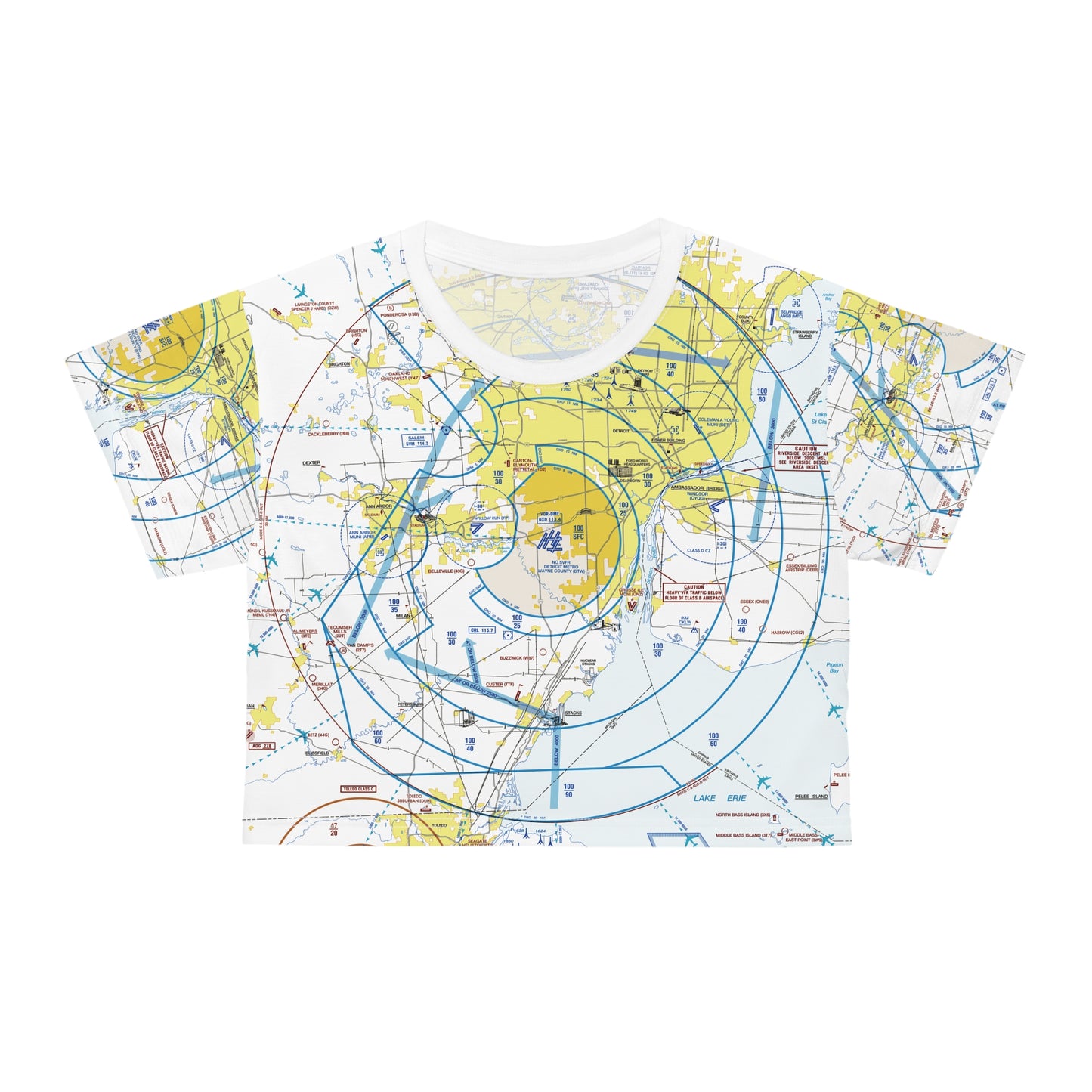 Detroit Flyway Chart crop tee