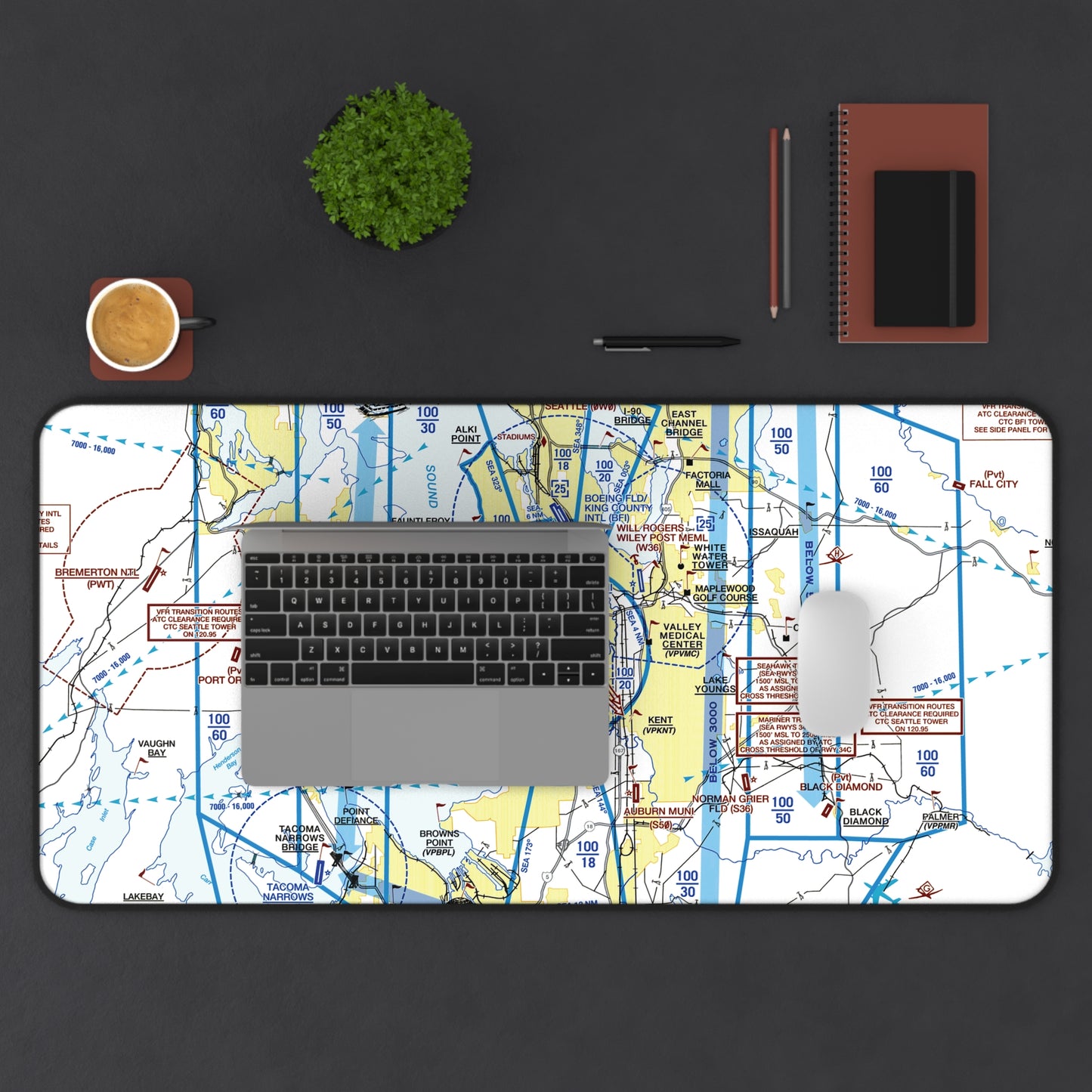 Seattle Flyway Chart desk mat