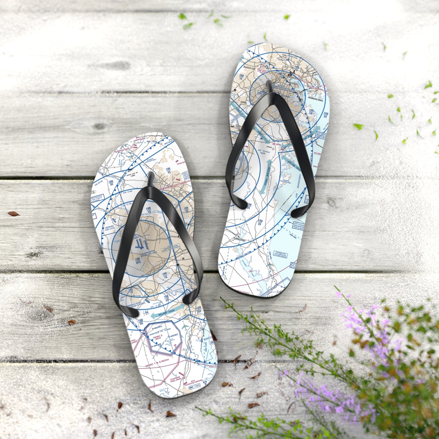 Aeronautical Chart Flip-Flops (BWI Flyway Chart)