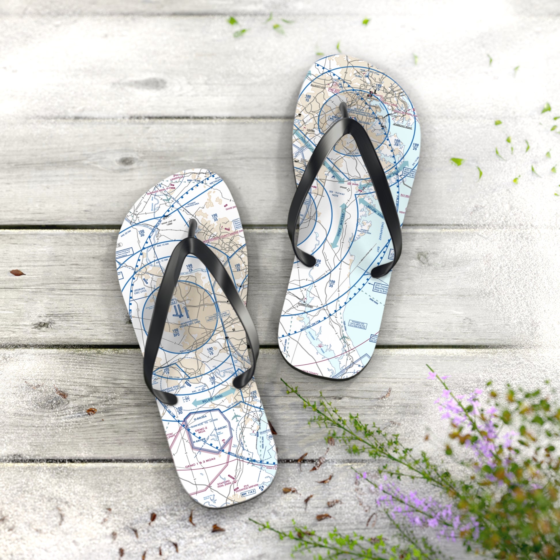 Aeronautical Chart Flip-Flops (BWI Flyway Chart)