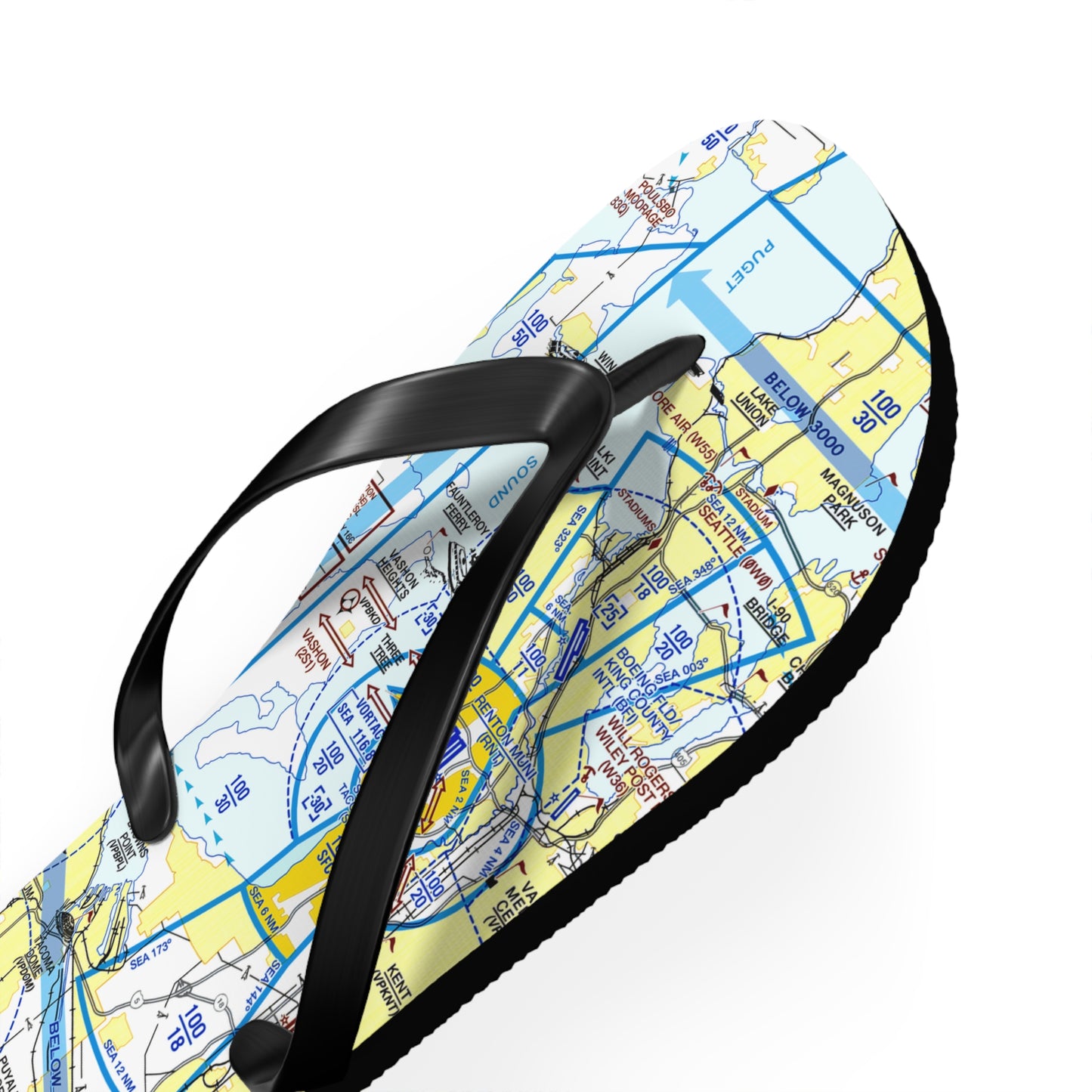 Aeronautical Chart Flip-Flops (SEA Flyway Chart)