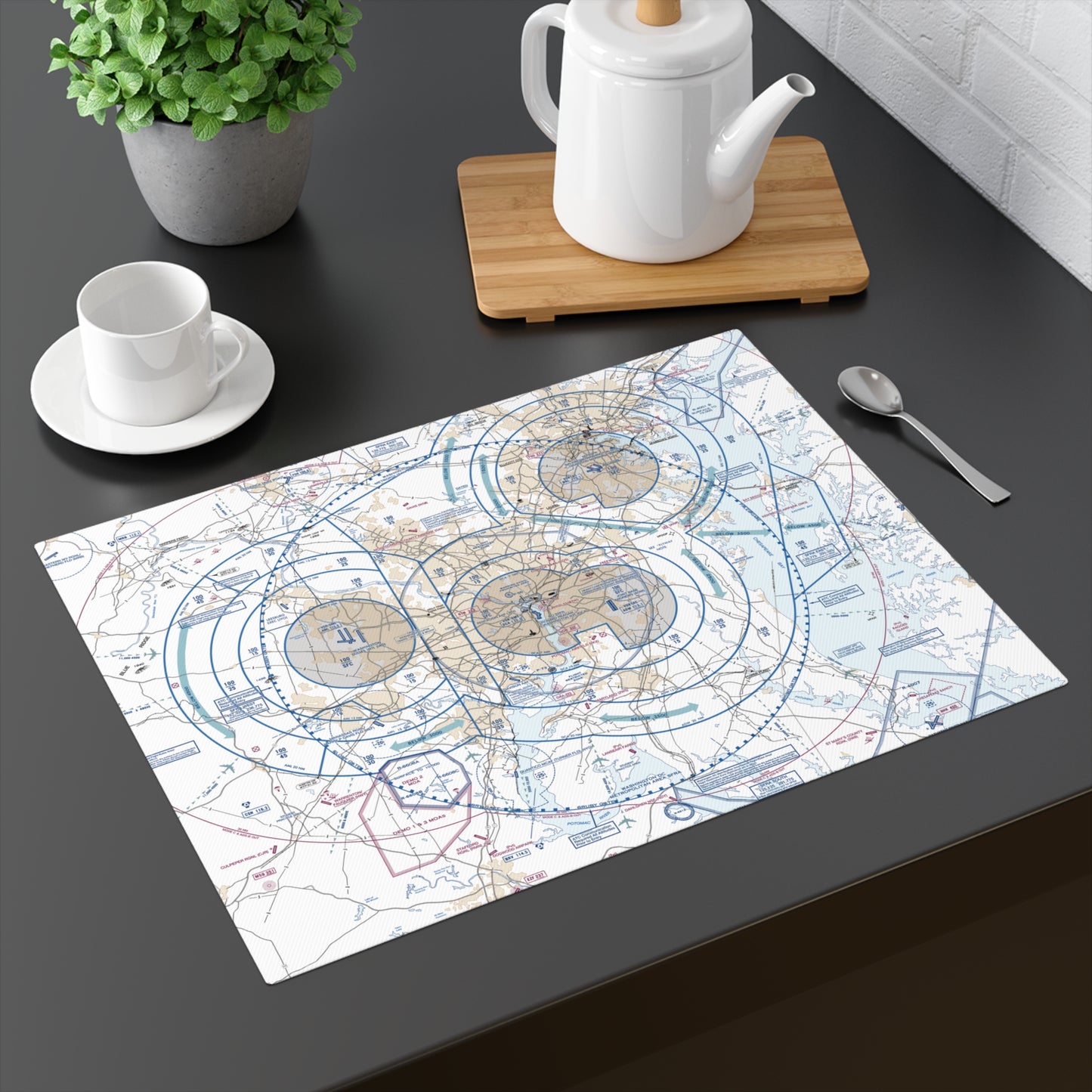 Baltimore-Washington Flyway Chart kitchen placemat