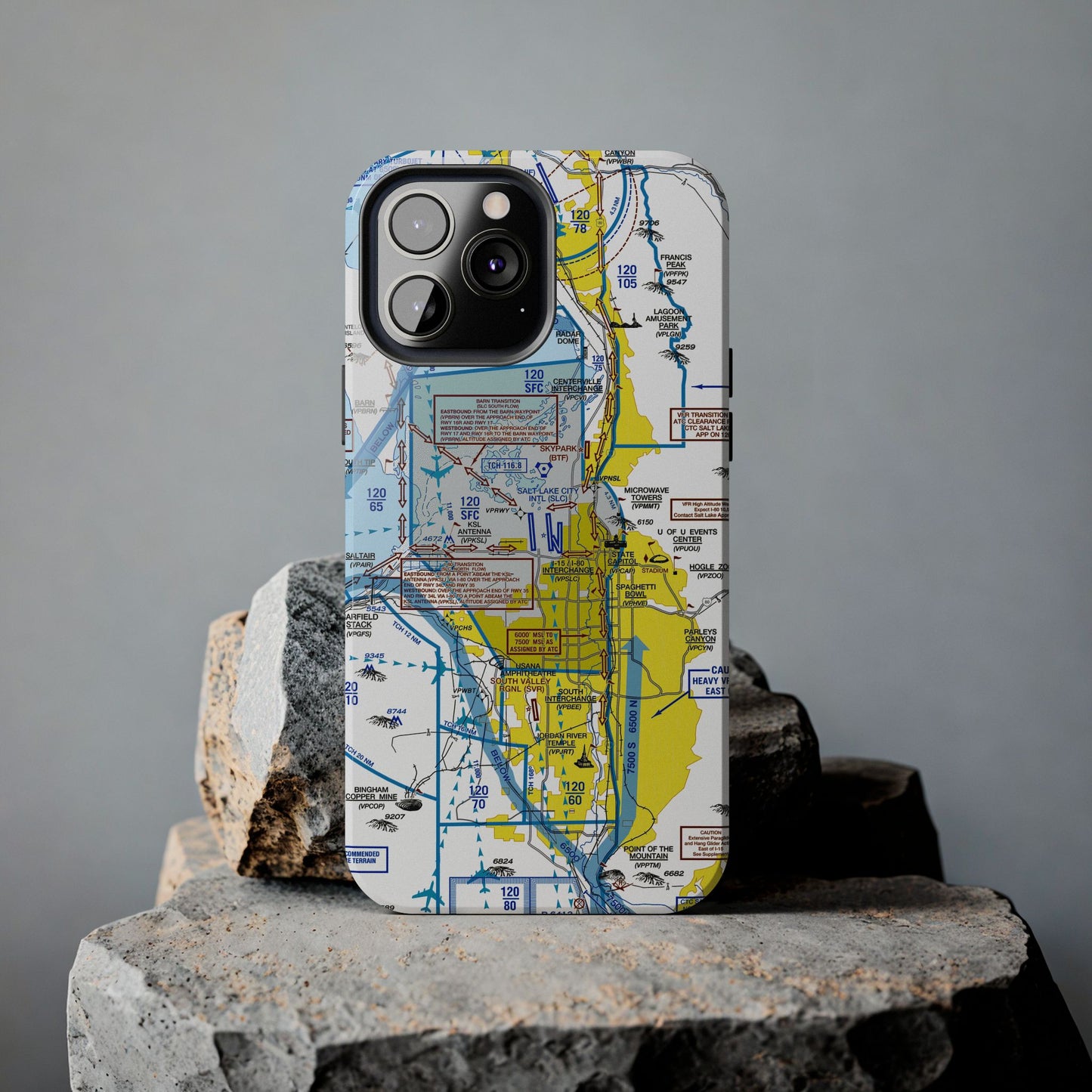Salt Lake City Flyway Chart tough phone cases
