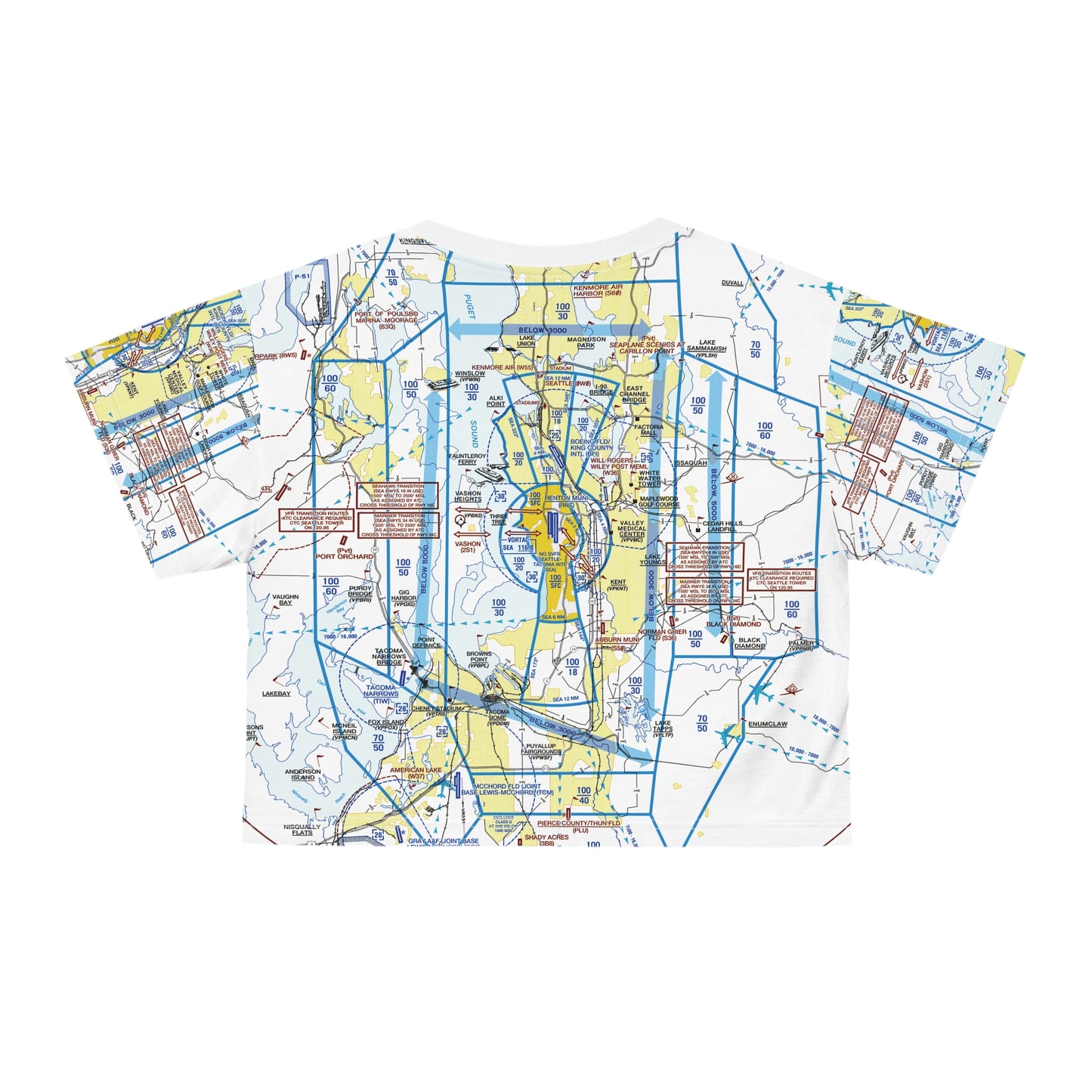 Seattle Flyway Chart crop tee