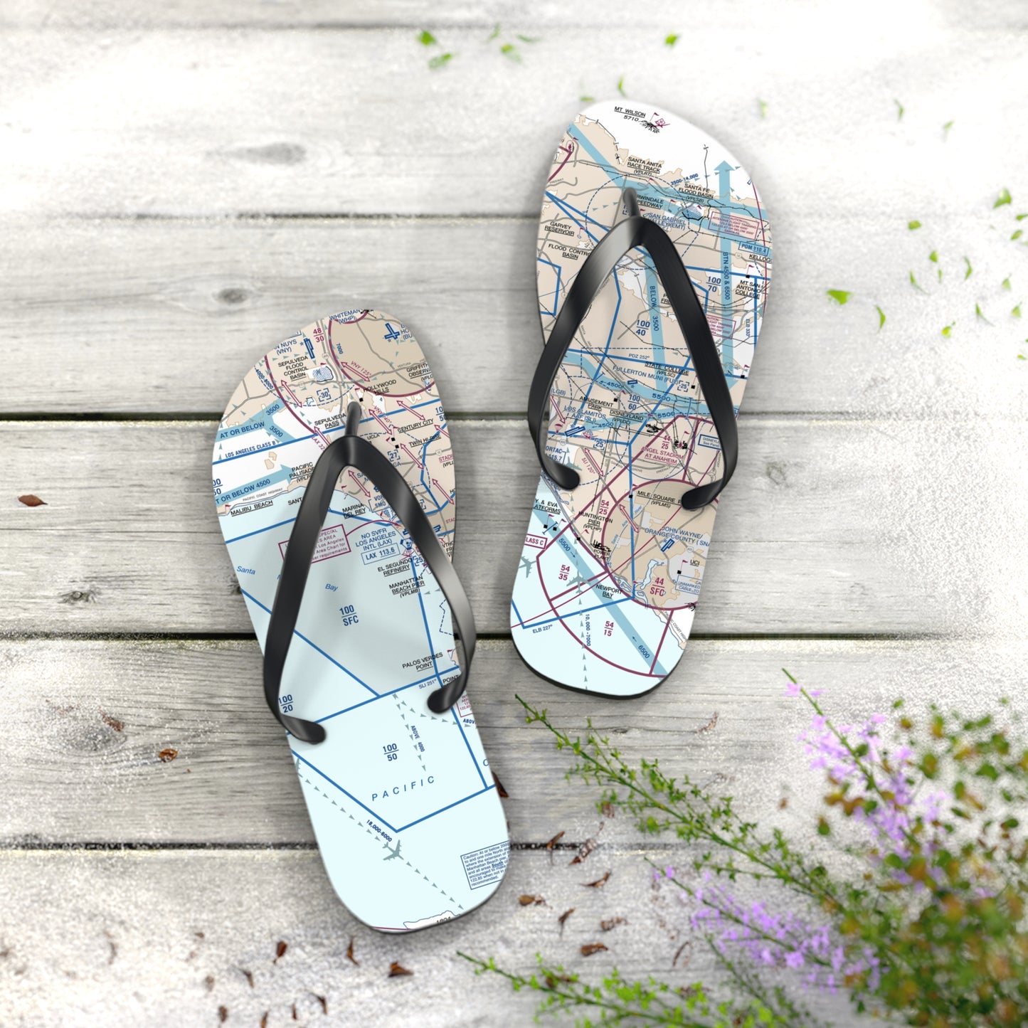 Aeronautical Chart Flip-Flops (LAX Flyway Chart)