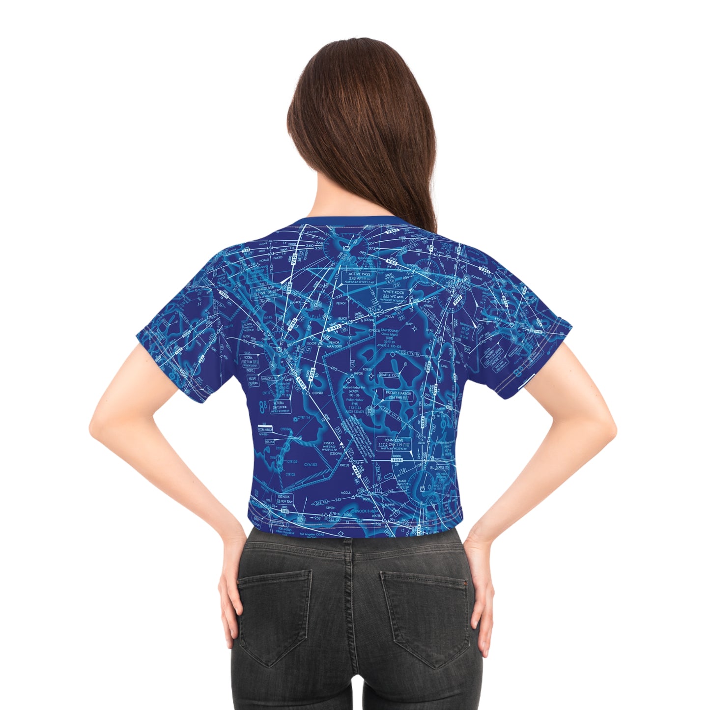 Enroute Low Altitude Chart (blue) crop tee
