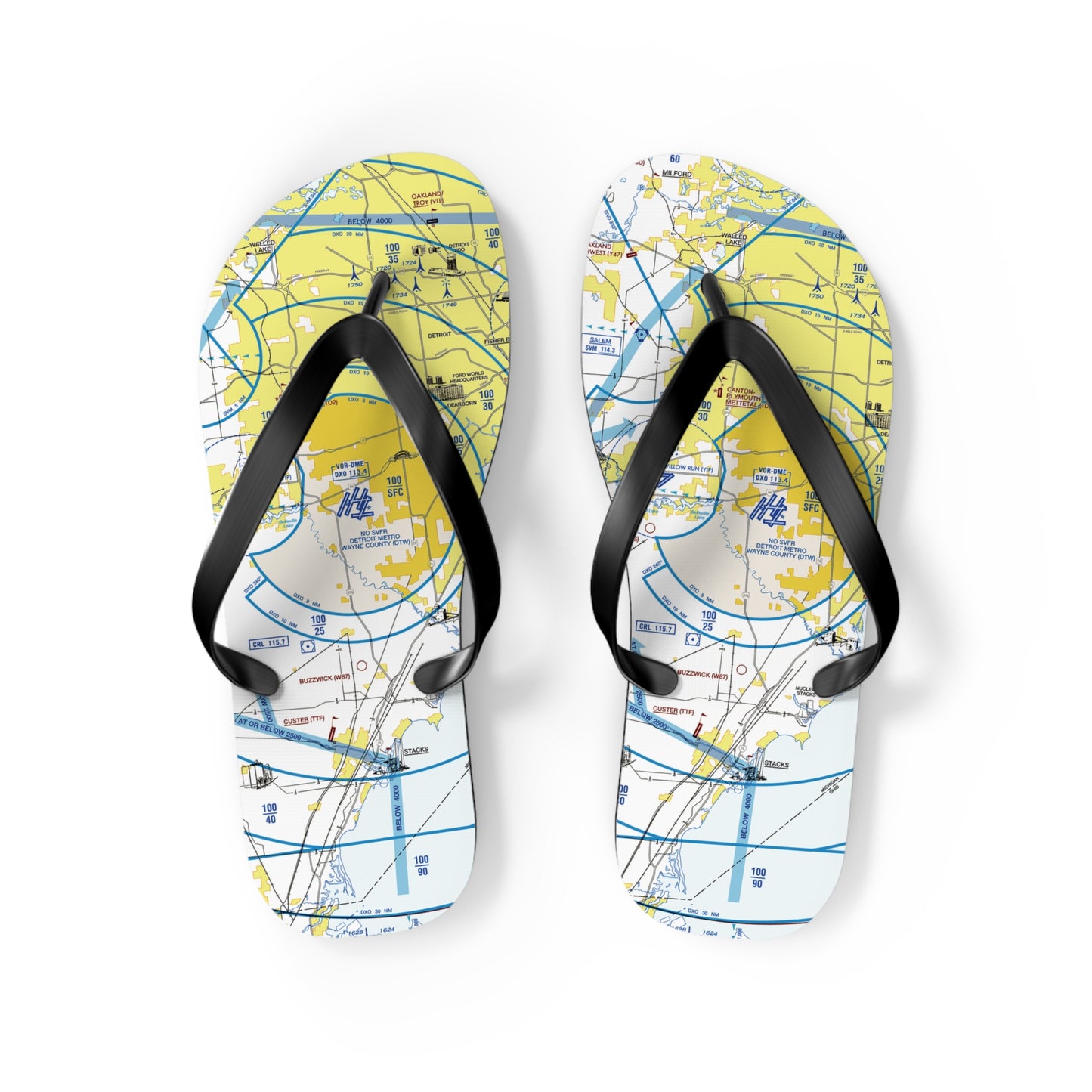 Aeronautical Chart Flip-Flops (DTW Flyway Chart)