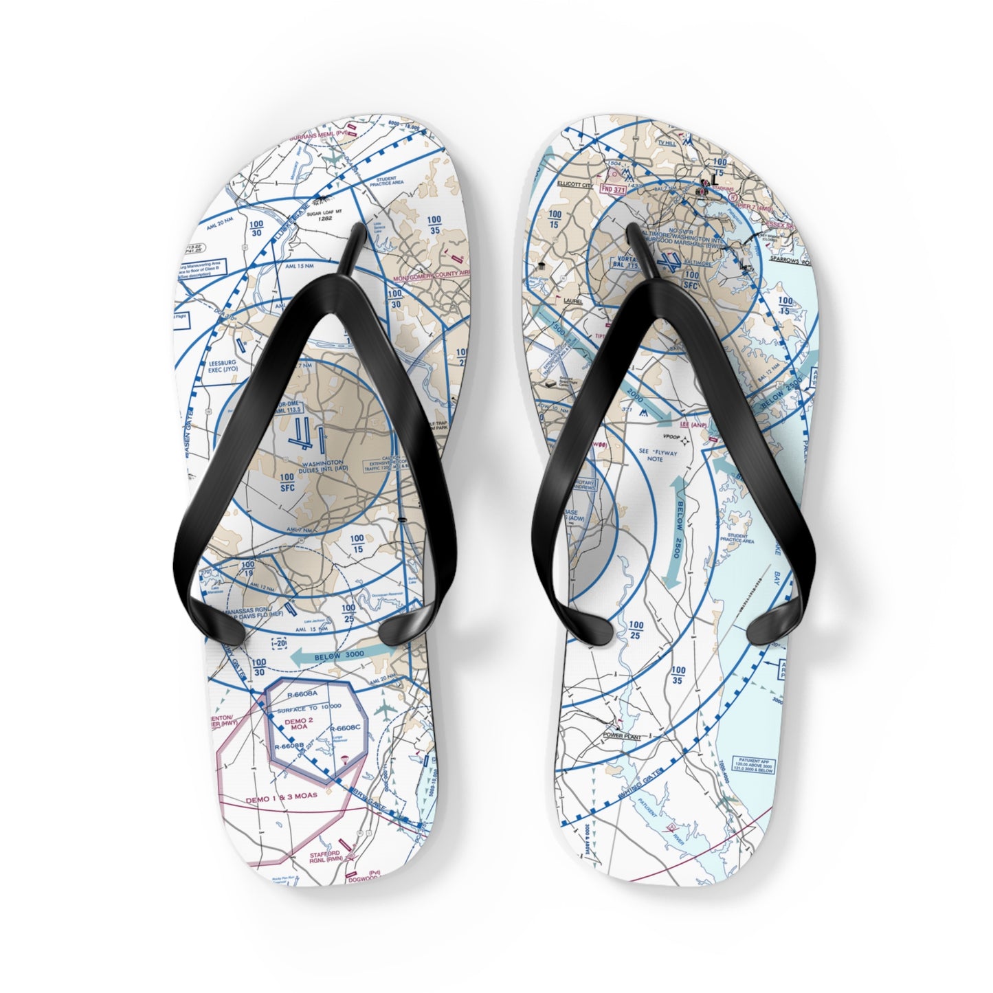 Aeronautical Chart Flip-Flops (BWI Flyway Chart)