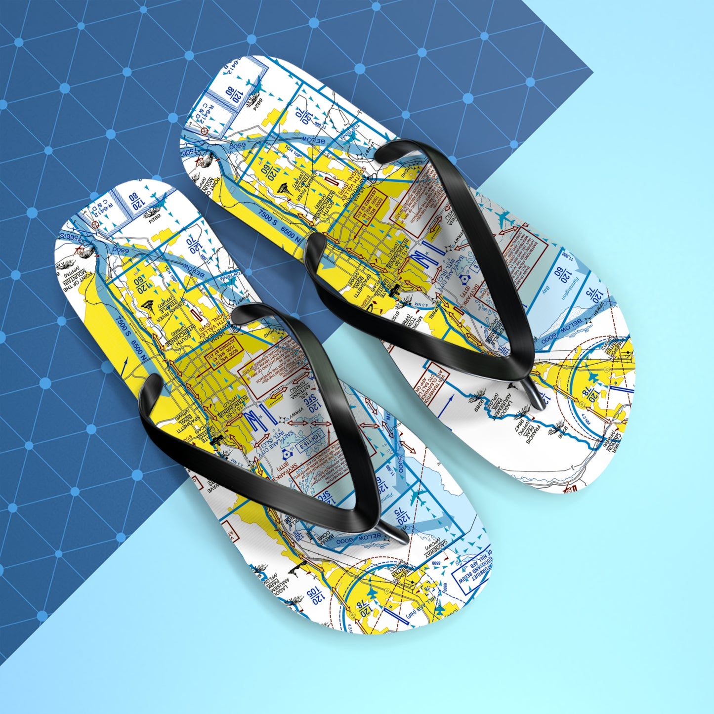 Aeronautical Chart Flip-Flops (SLC Flyway Chart)
