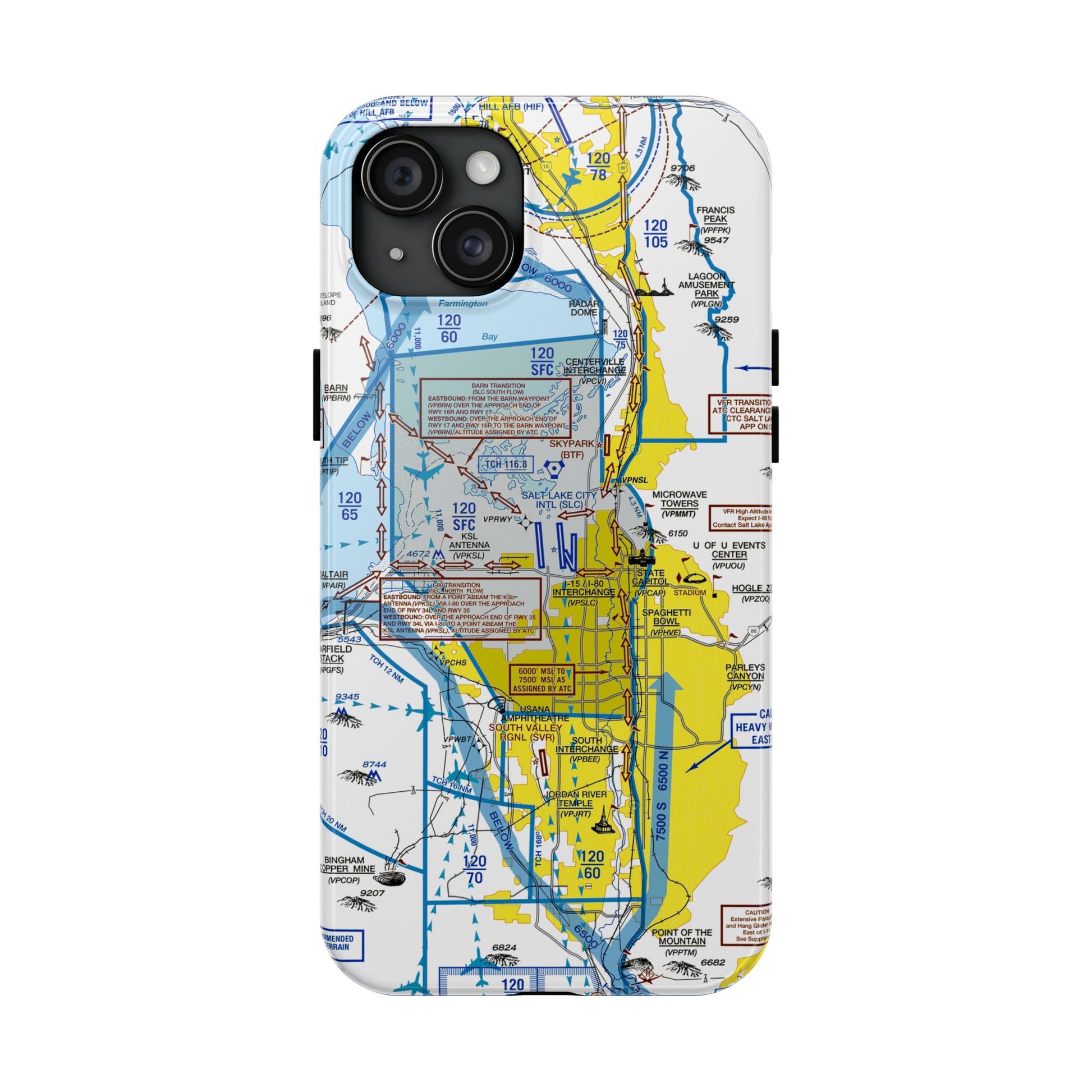 Salt Lake City Flyway Chart tough phone cases