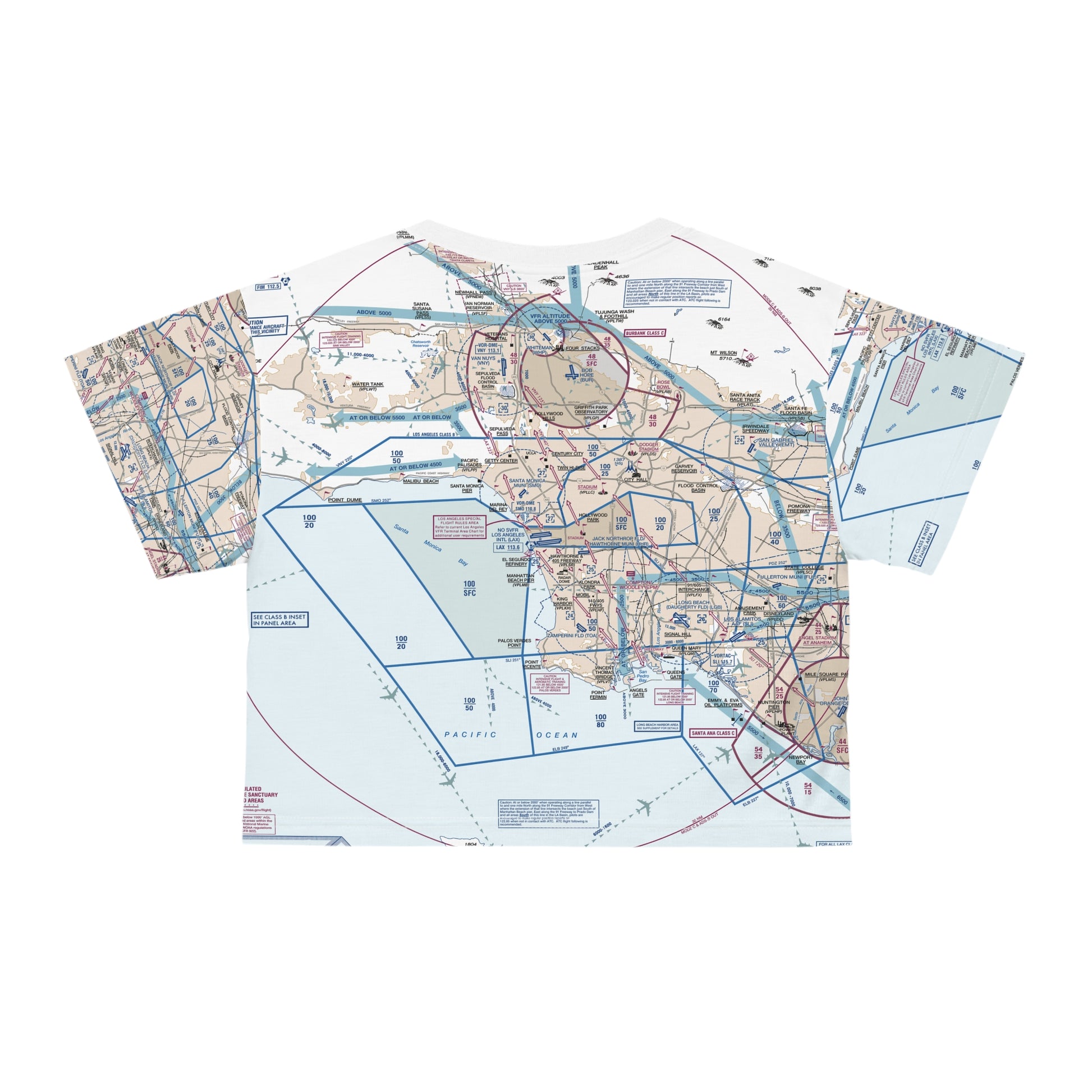 Los Angeles Flyway Chart crop tee