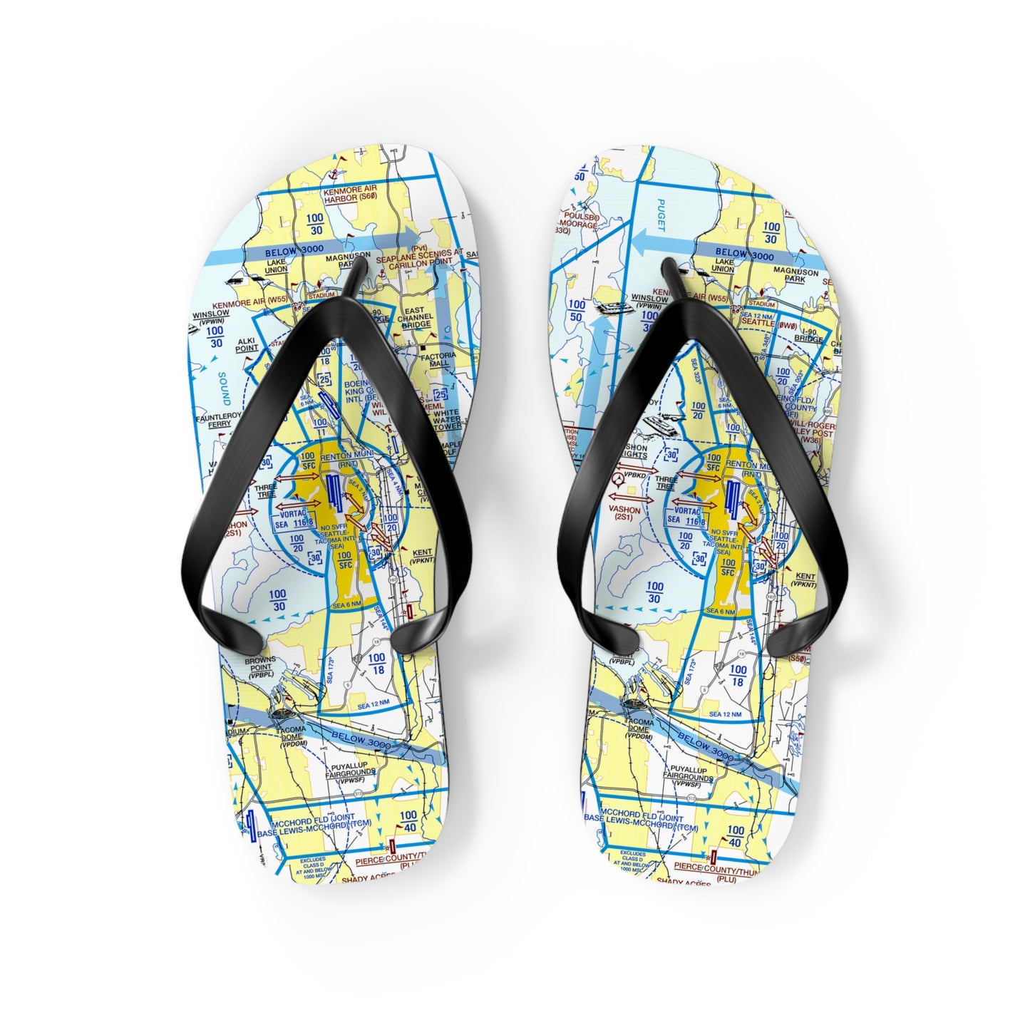 Aeronautical Chart Flip-Flops (SEA Flyway Chart)