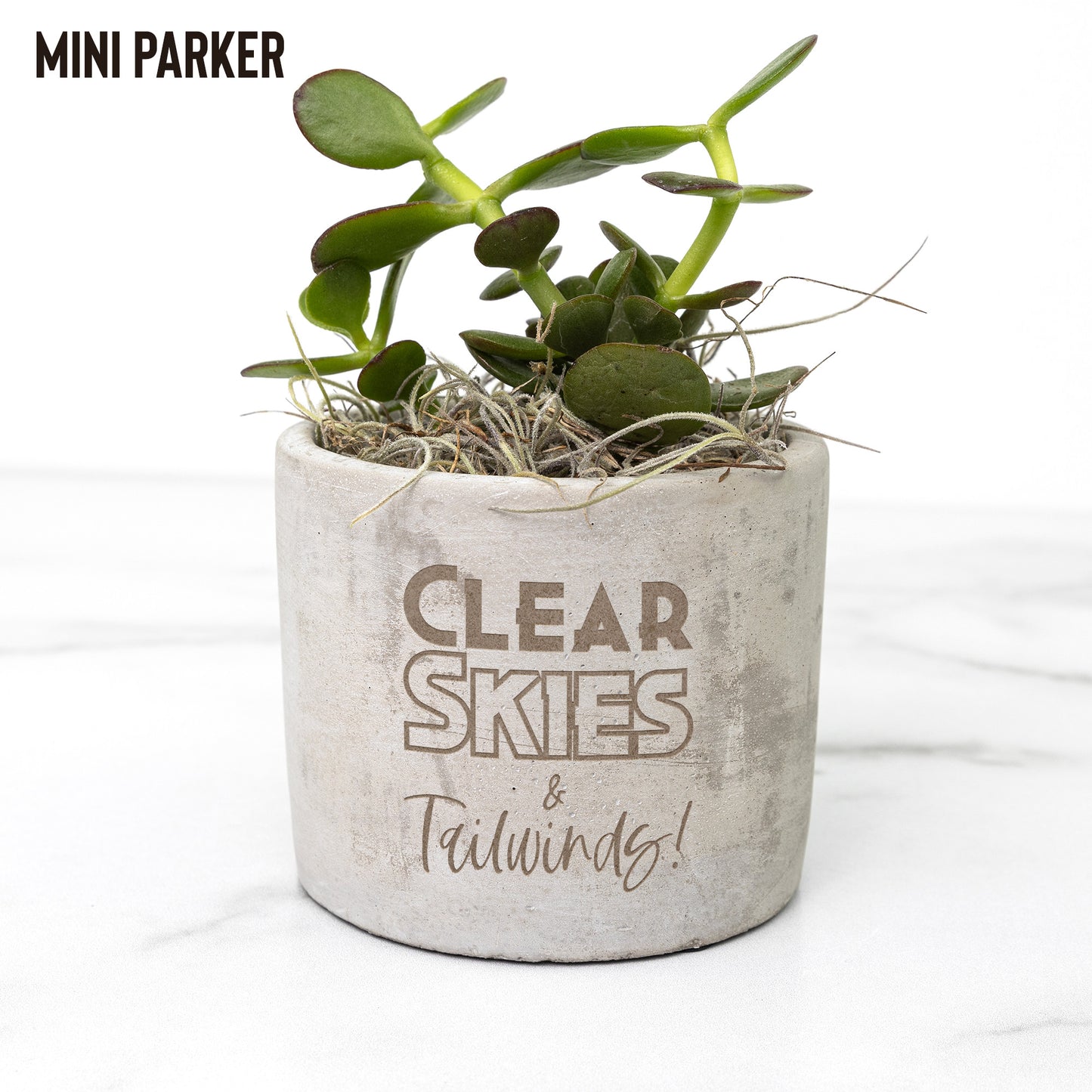 Clear Skies & Tailwinds desk plants