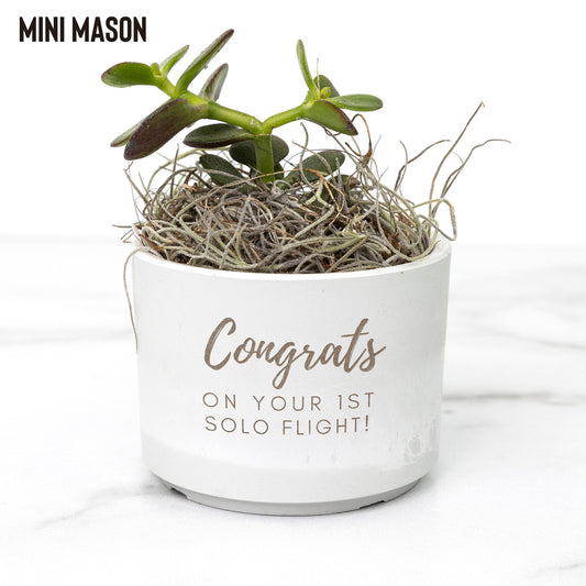 Congrats on your 1st Solo Flight! desk plant