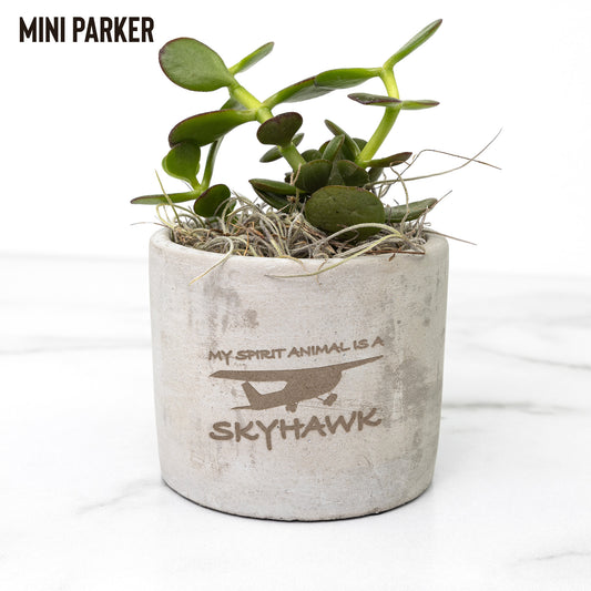 My Spirit Animal is a Skyhawk desk plant