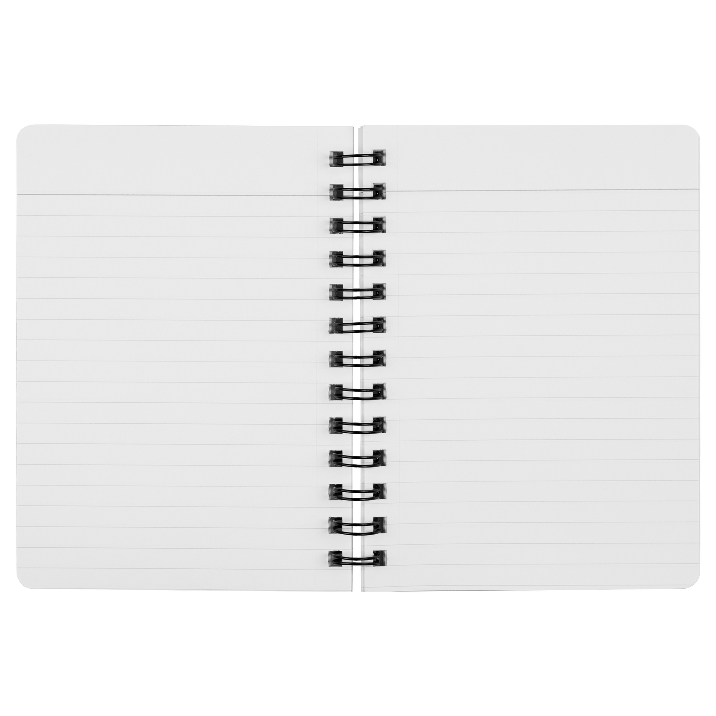 My_Spirit_Animal_is_a_Skyhawk_spiral_not_SN_Open_Pages_Mockup.png_15508147