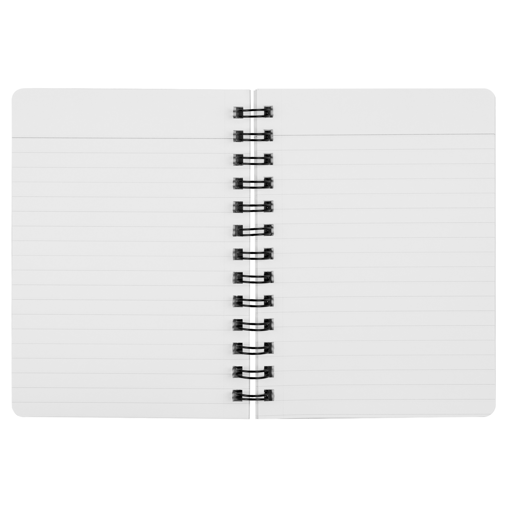 My_Spirit_Animal_is_a_Skyhawk_spiral_not_SN_Open_Pages_Mockup.png_15508147