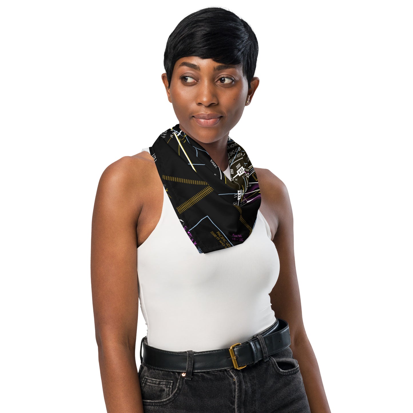 Enroute Low Altitude Chart bandana (ELUS3/invert)