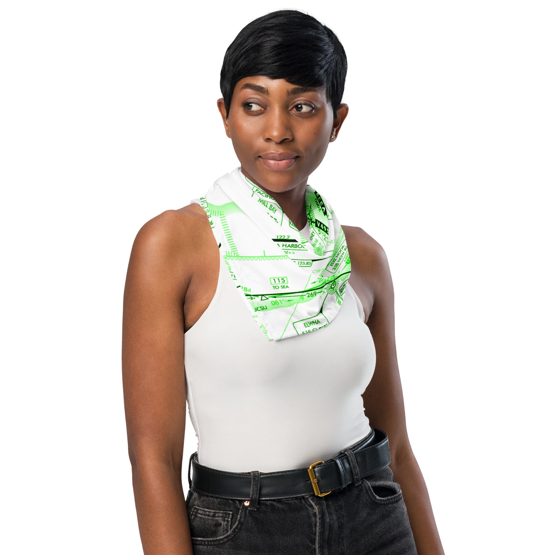 Enroute Low Altitude Chart bandana (ELUS1/green)