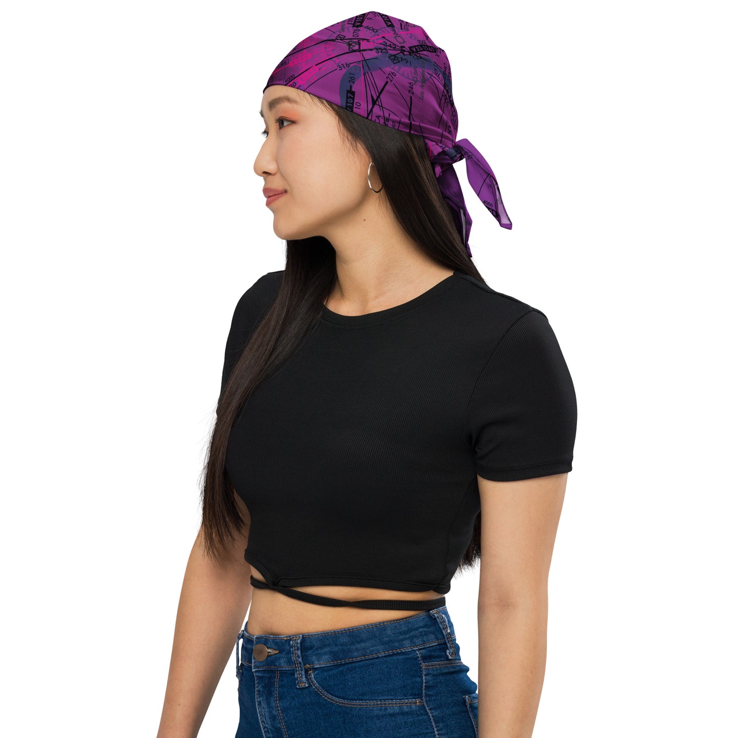 Enroute Low Altitude Chart bandana (ELUS3/purple)