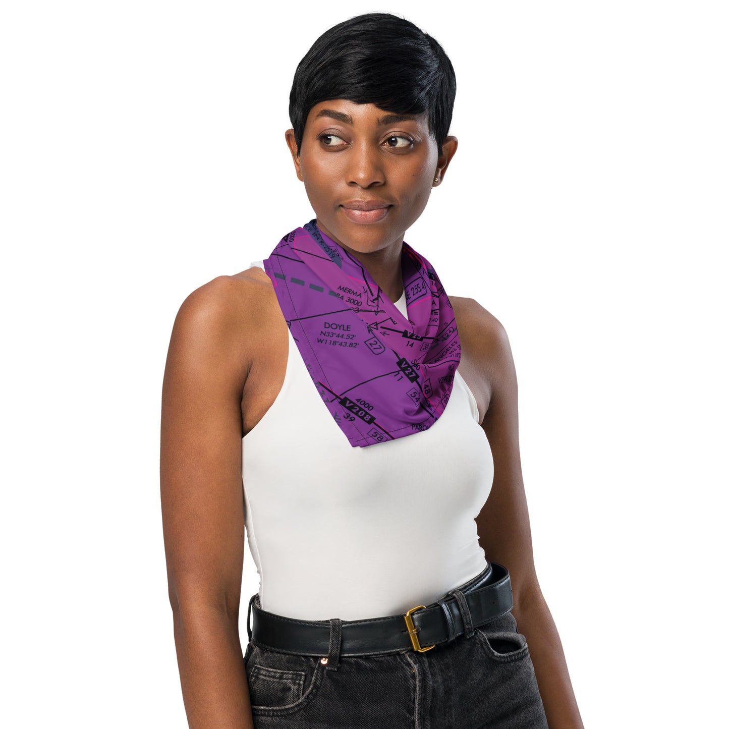 Enroute Low Altitude Chart bandana (ELUS3/purple)