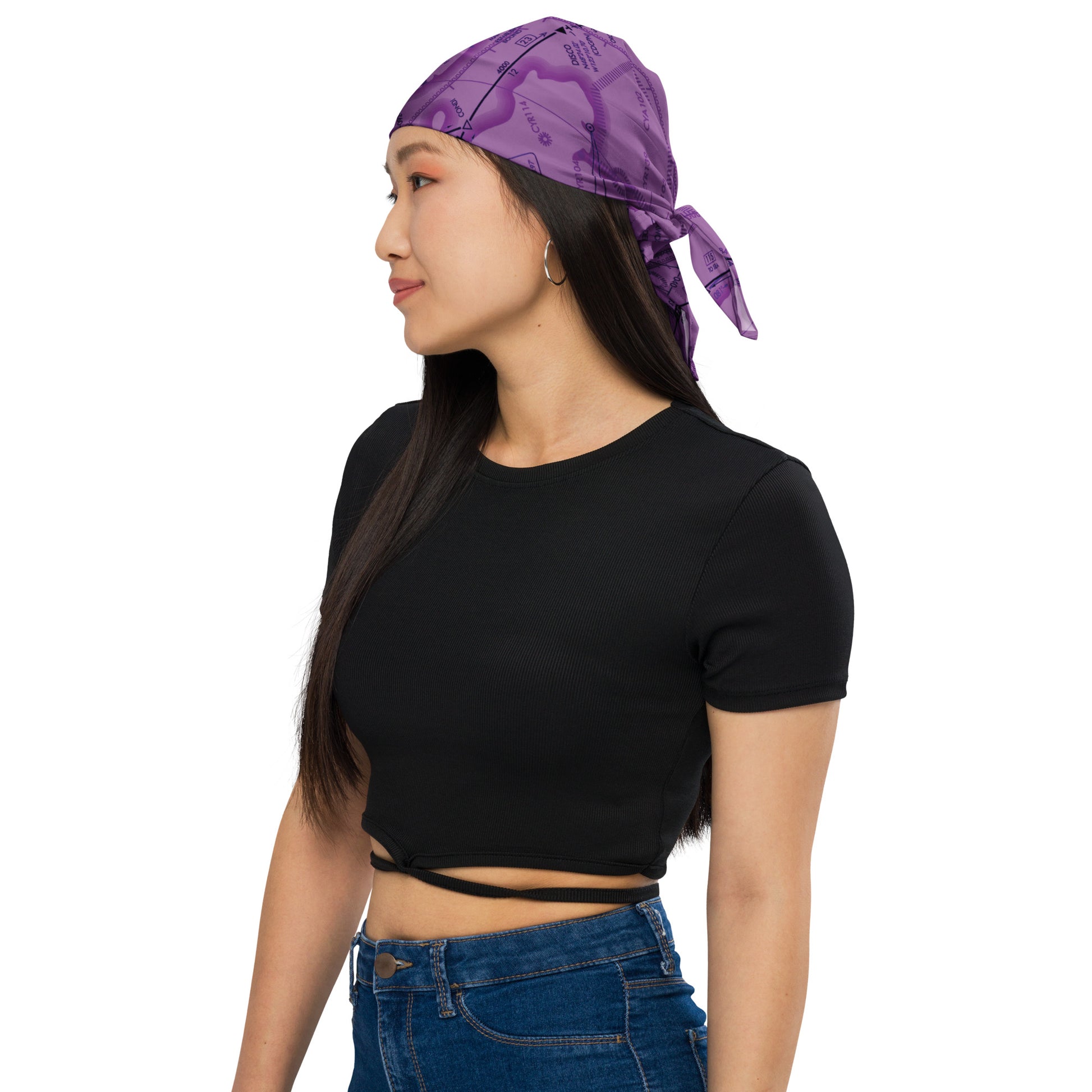 Enroute Low Altitude Chart bandana (ELUS1/purple)