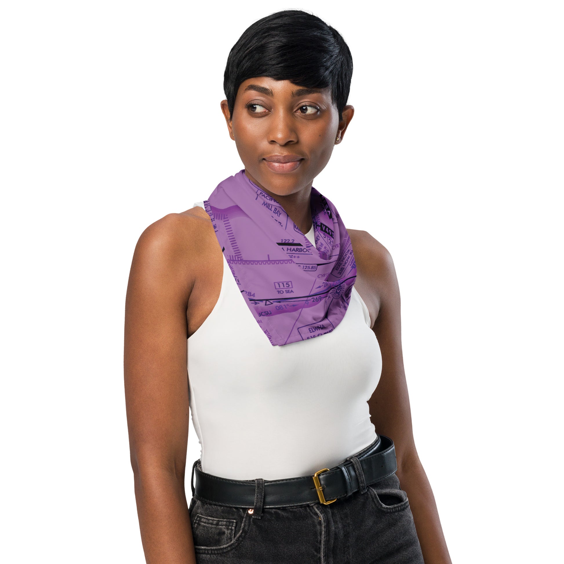 Enroute Low Altitude Chart bandana (ELUS1/purple)