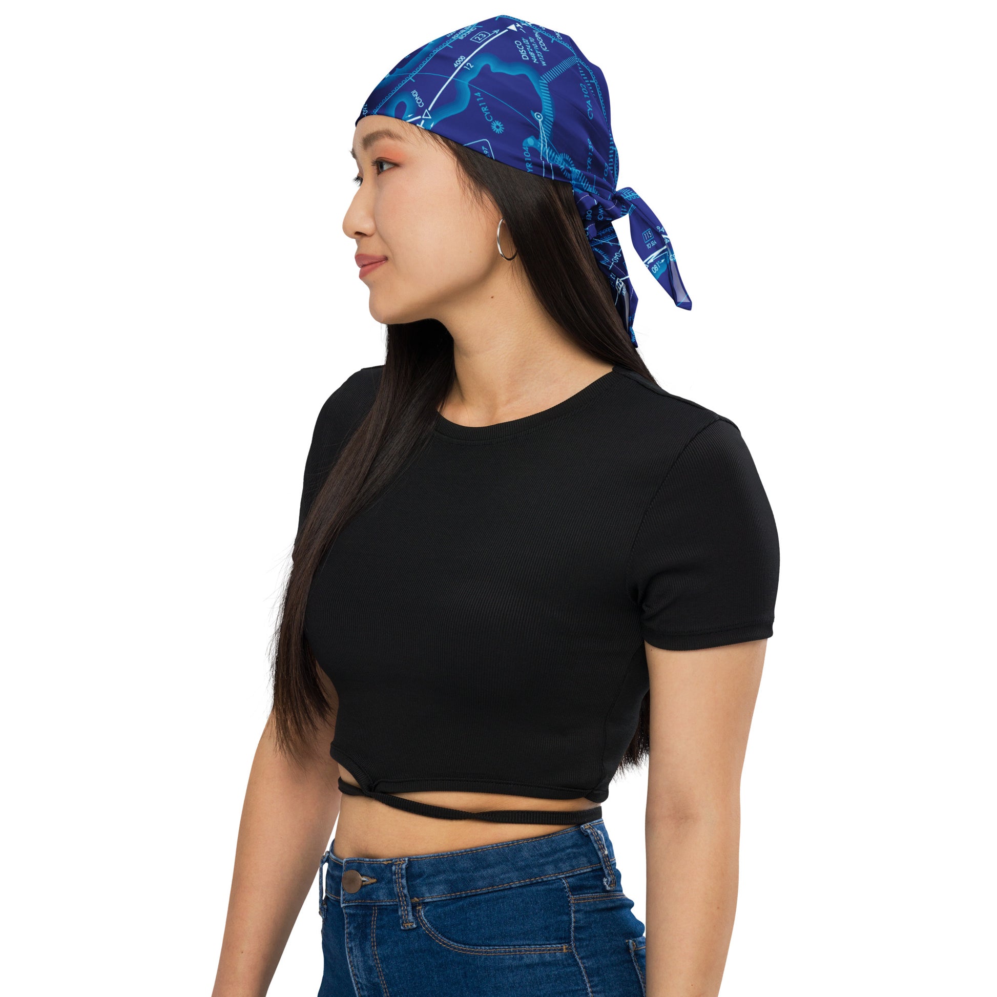 Enroute Low Altitude Chart bandana (ELUS1/blue)