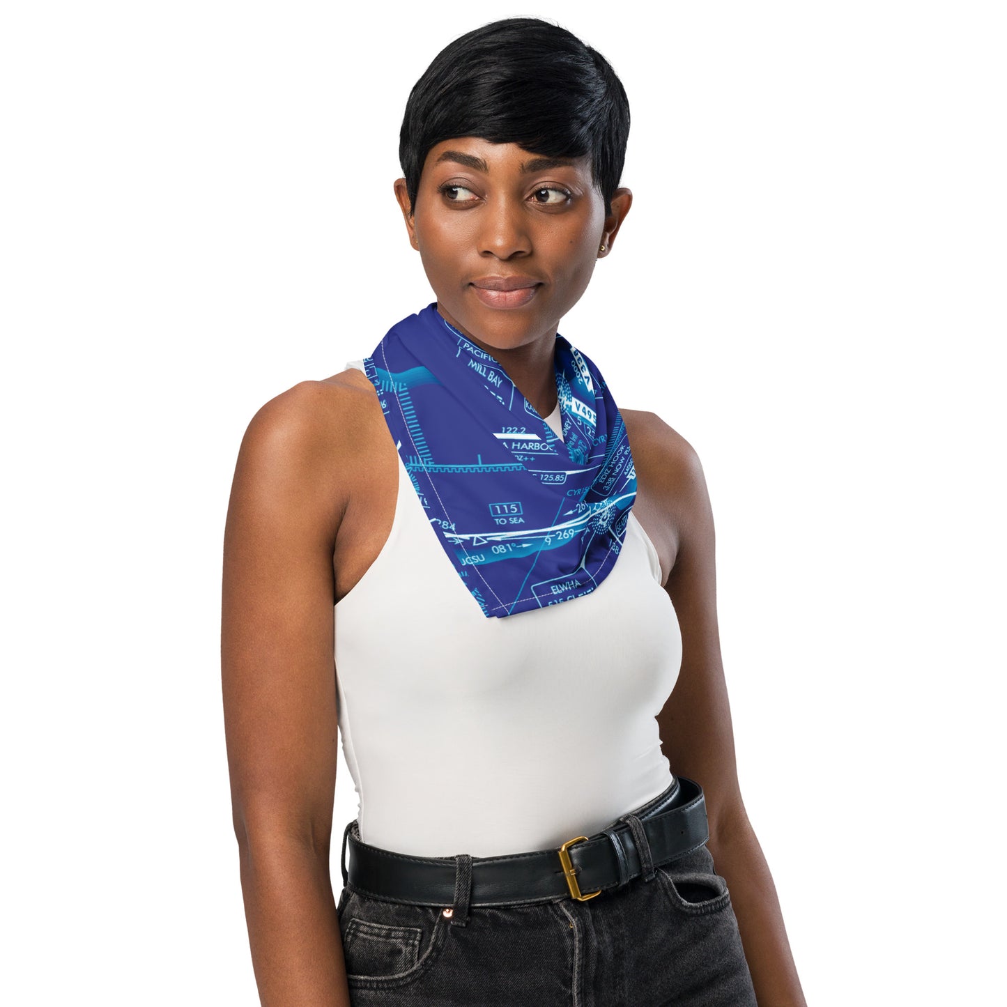 Enroute Low Altitude Chart bandana (ELUS1/blue)
