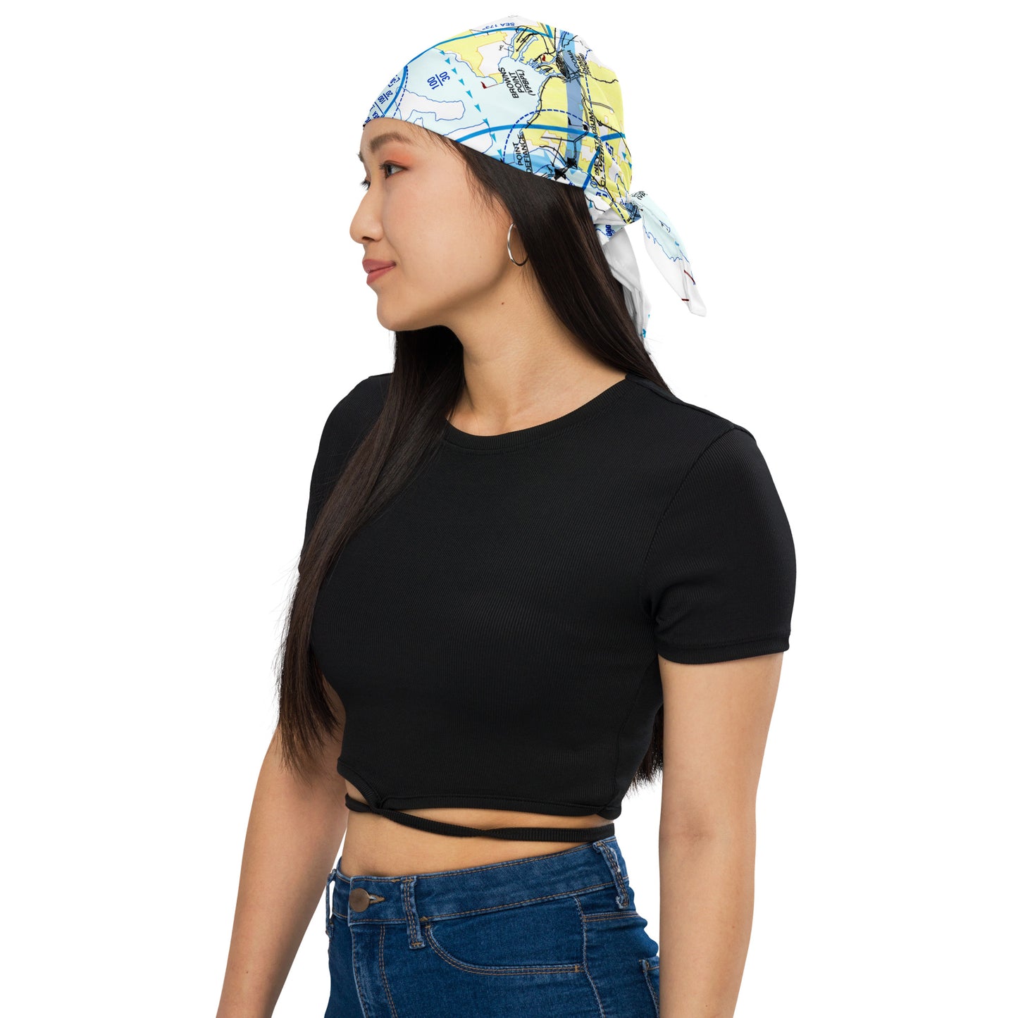 Seattle Flyway Chart bandana