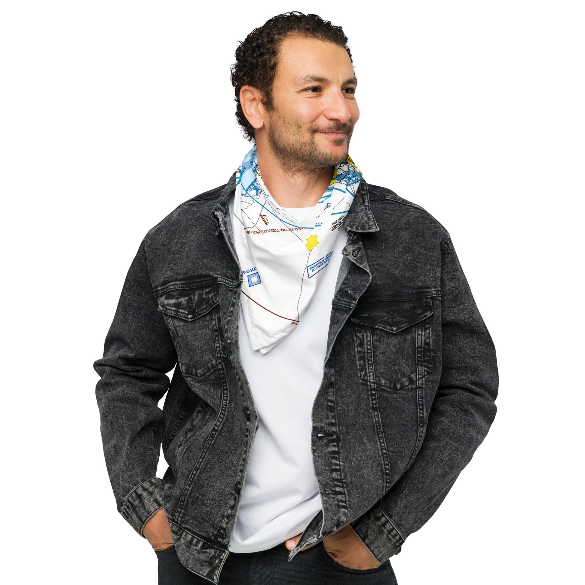 Salt Lake City Flyway Chart bandana