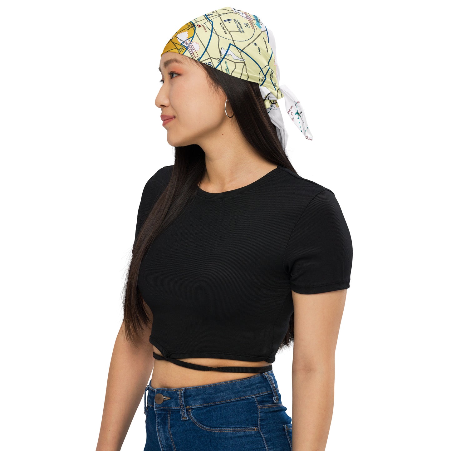 Dallas - Ft. Worth Flyway Chart bandana