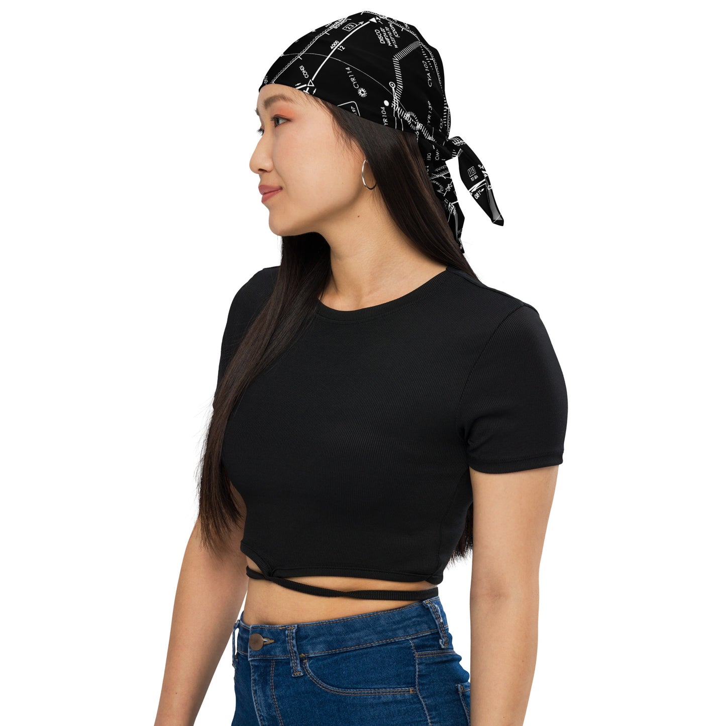 Enroute Low Altitude Chart bandana (ELUS1/black)