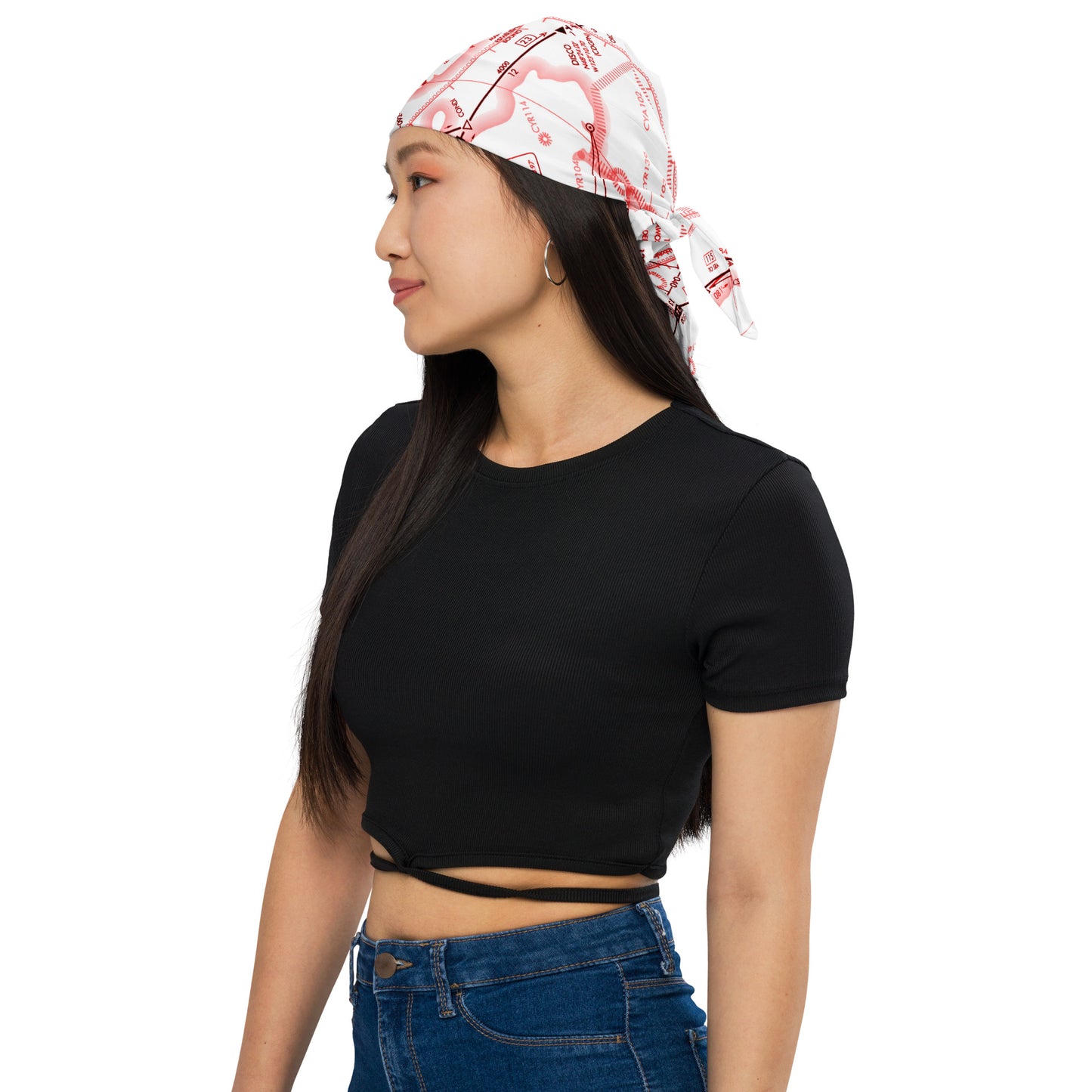 Enroute Low Altitude Chart bandana (ELUS1/red&white)