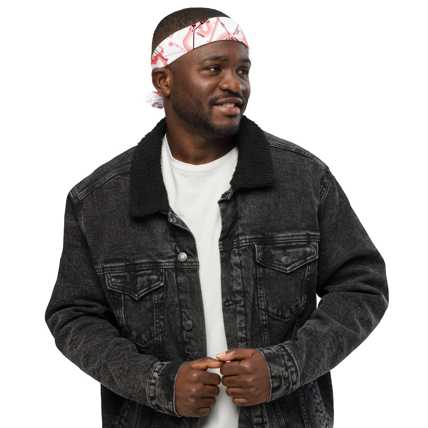 Enroute Low Altitude Chart bandana (ELUS1/red&white)