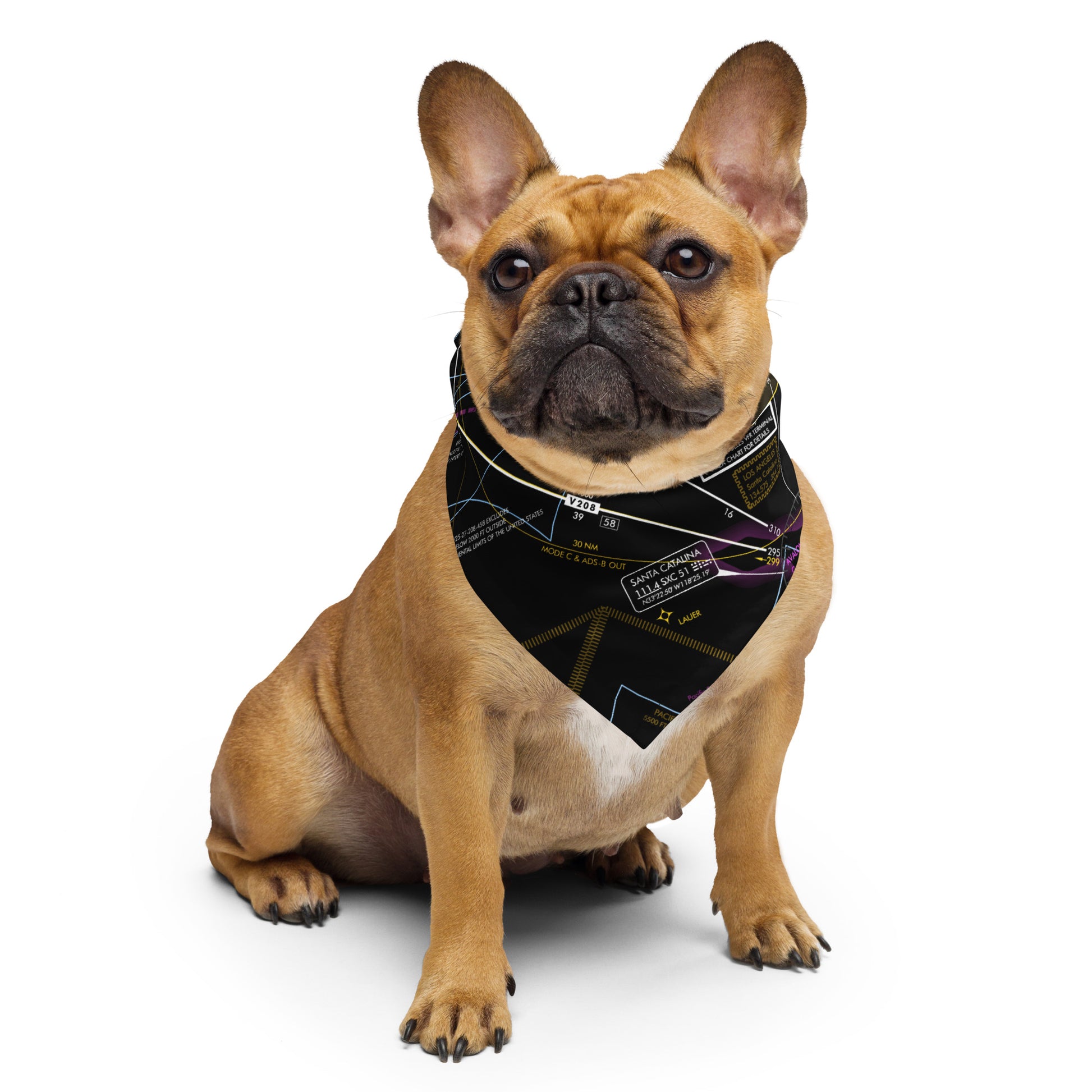 Enroute Low Altitude Chart bandana (ELUS3/invert)