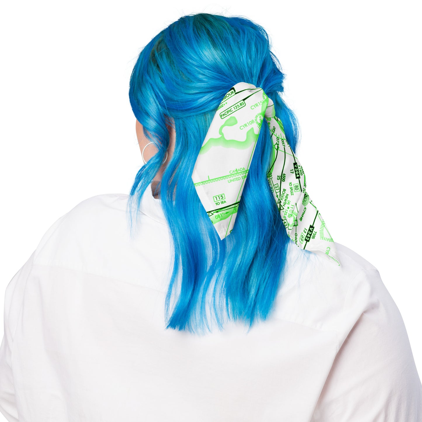 Enroute Low Altitude Chart bandana (ELUS1/green)