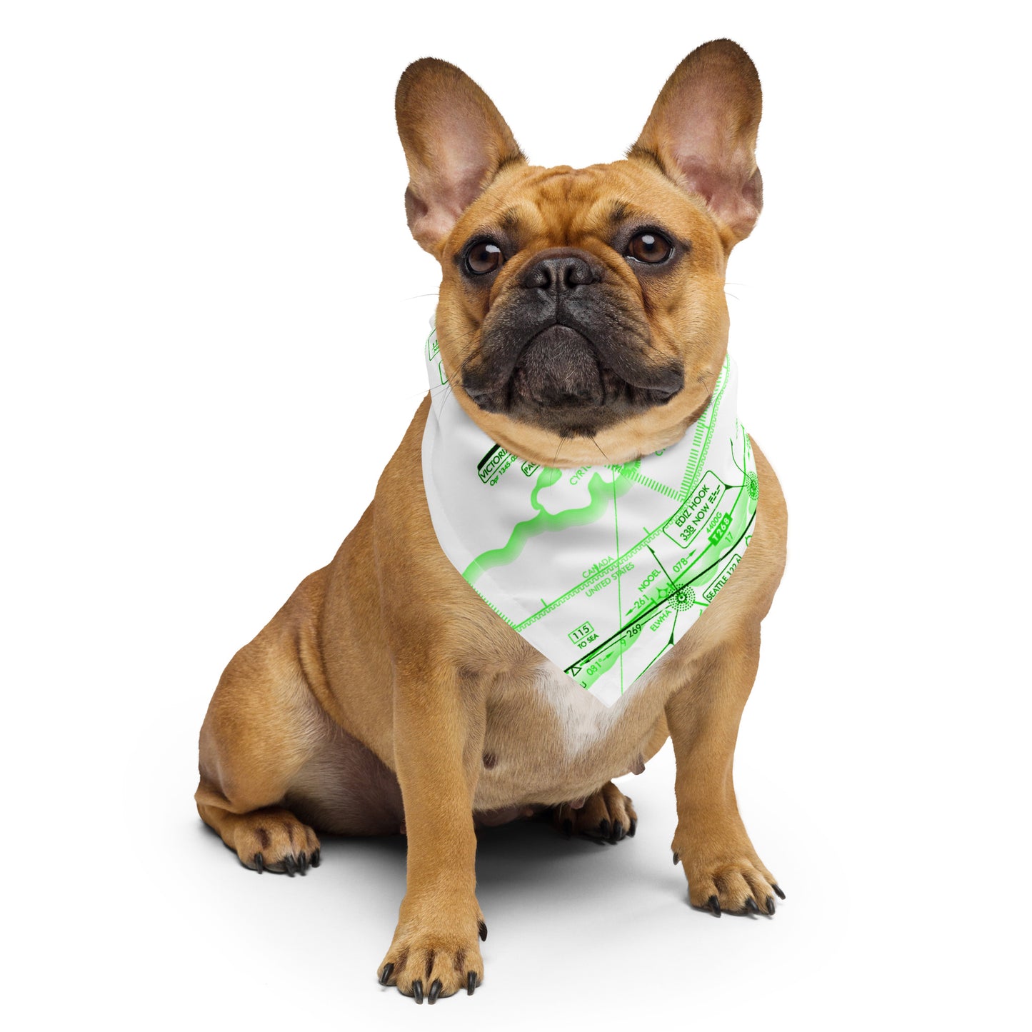 Enroute Low Altitude Chart bandana (ELUS1/green)