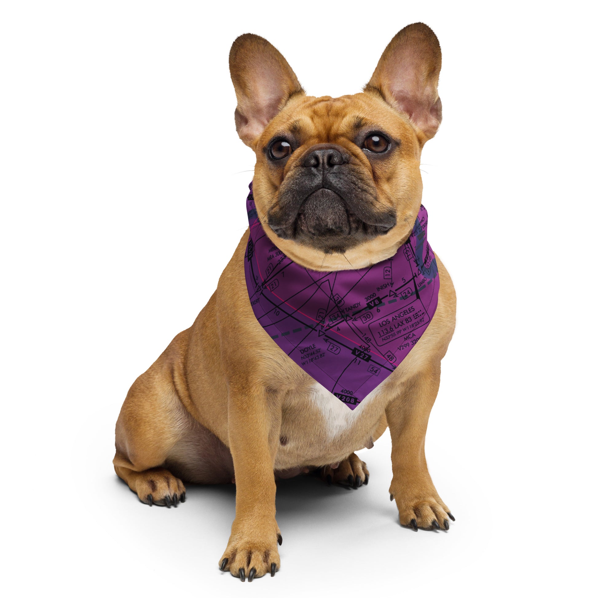 Enroute Low Altitude Chart bandana (ELUS3/purple)