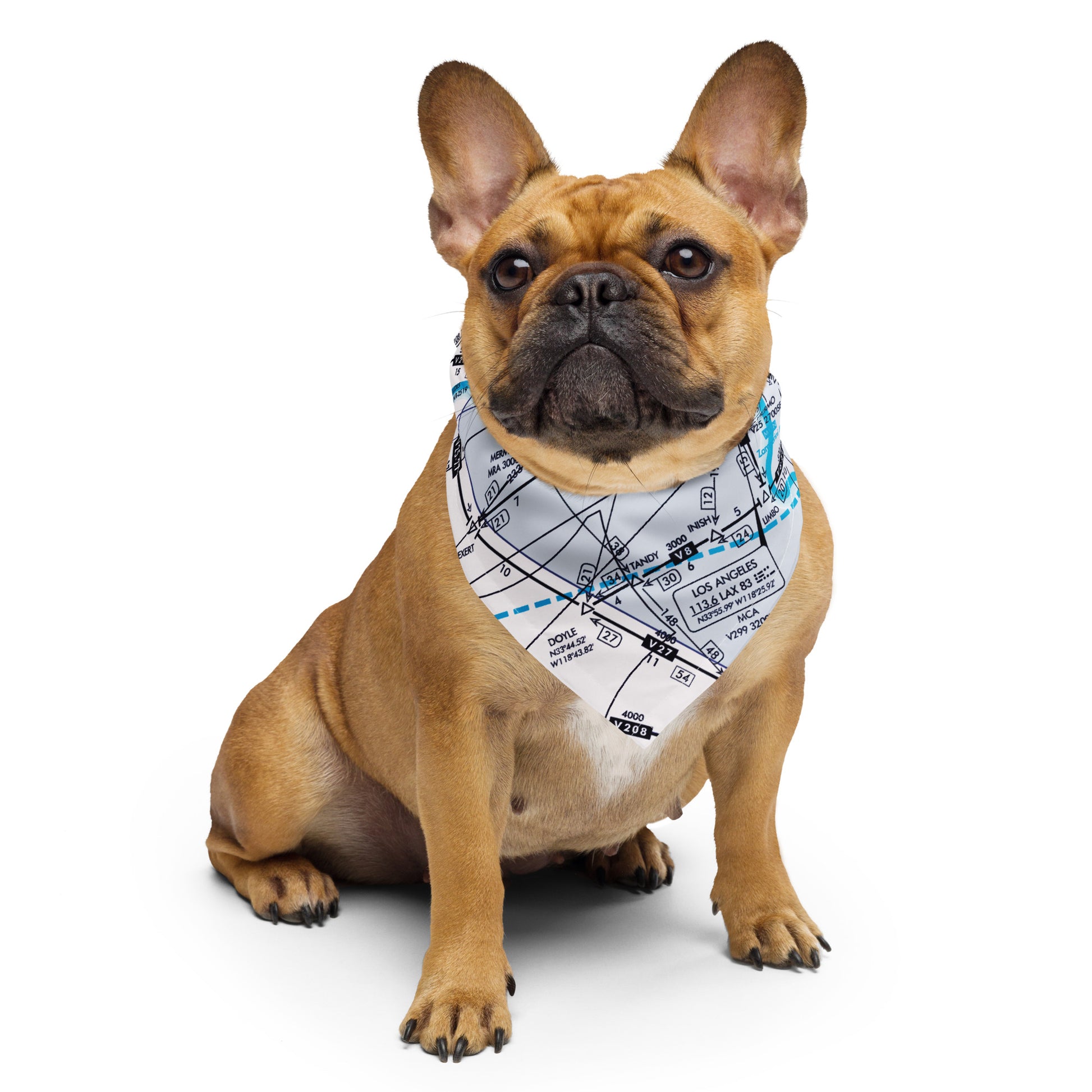 Enroute Low Altitude Chart bandana (ELUS3/white)