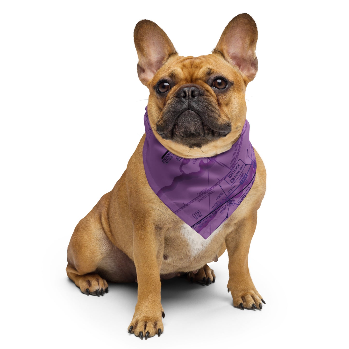 Enroute Low Altitude Chart bandana (ELUS1/purple)