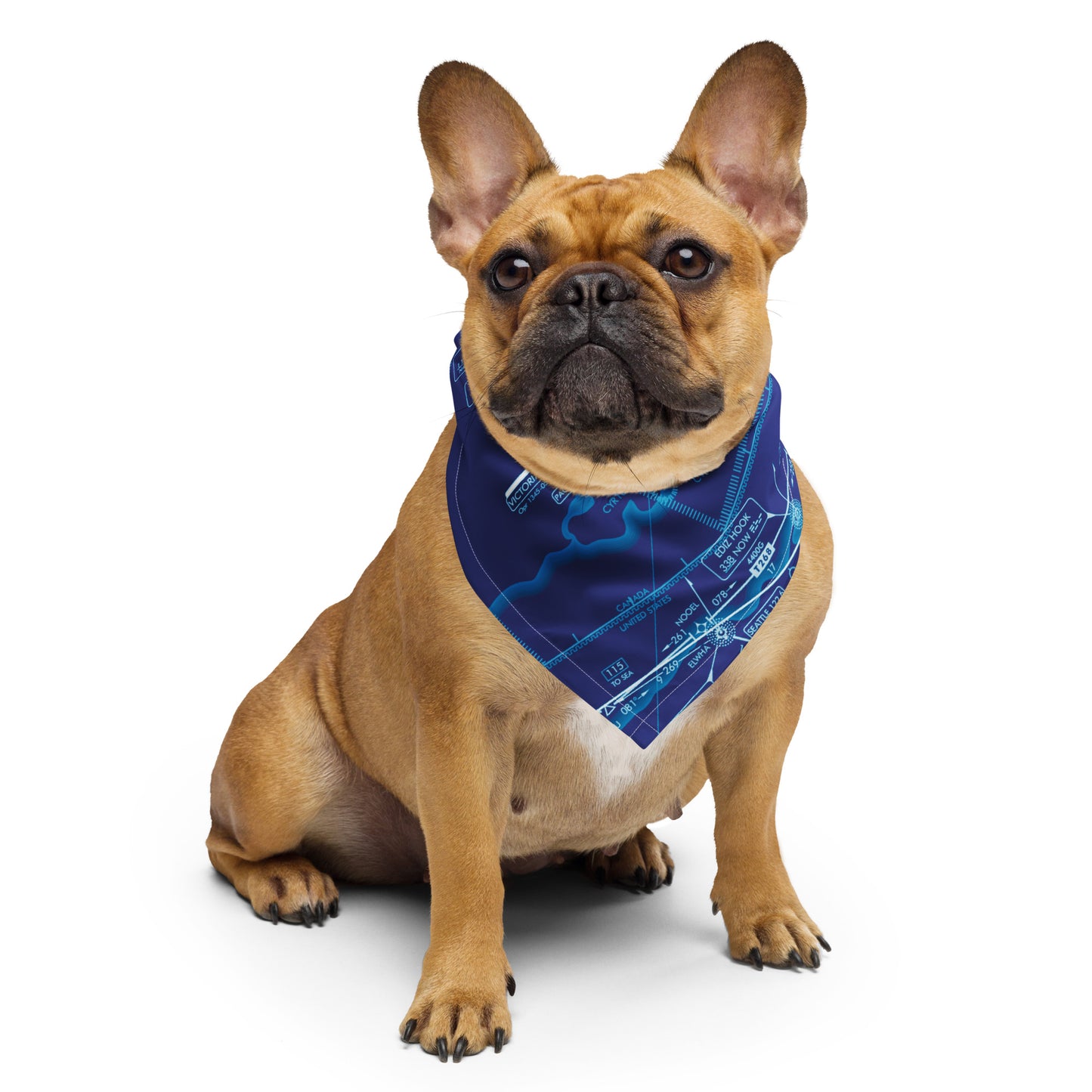 Enroute Low Altitude Chart bandana (ELUS1/blue)