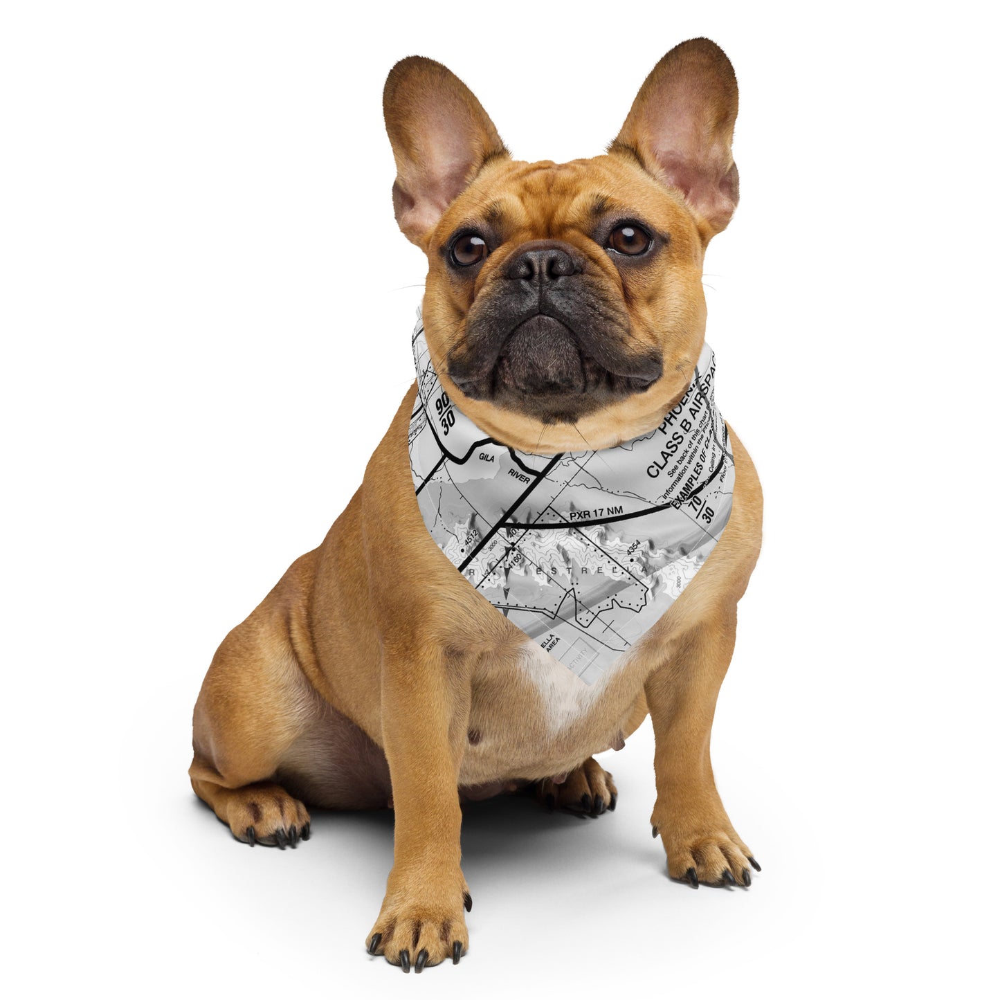Phoenix TAC Chart bandana (b&w)