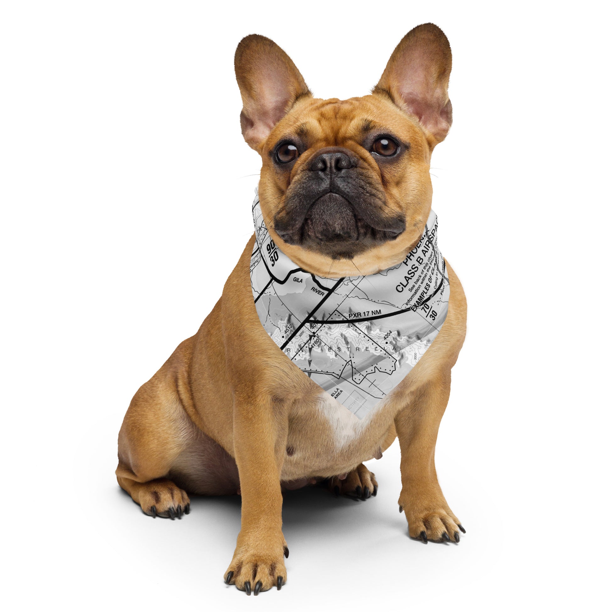Phoenix TAC Chart bandana (b&w)