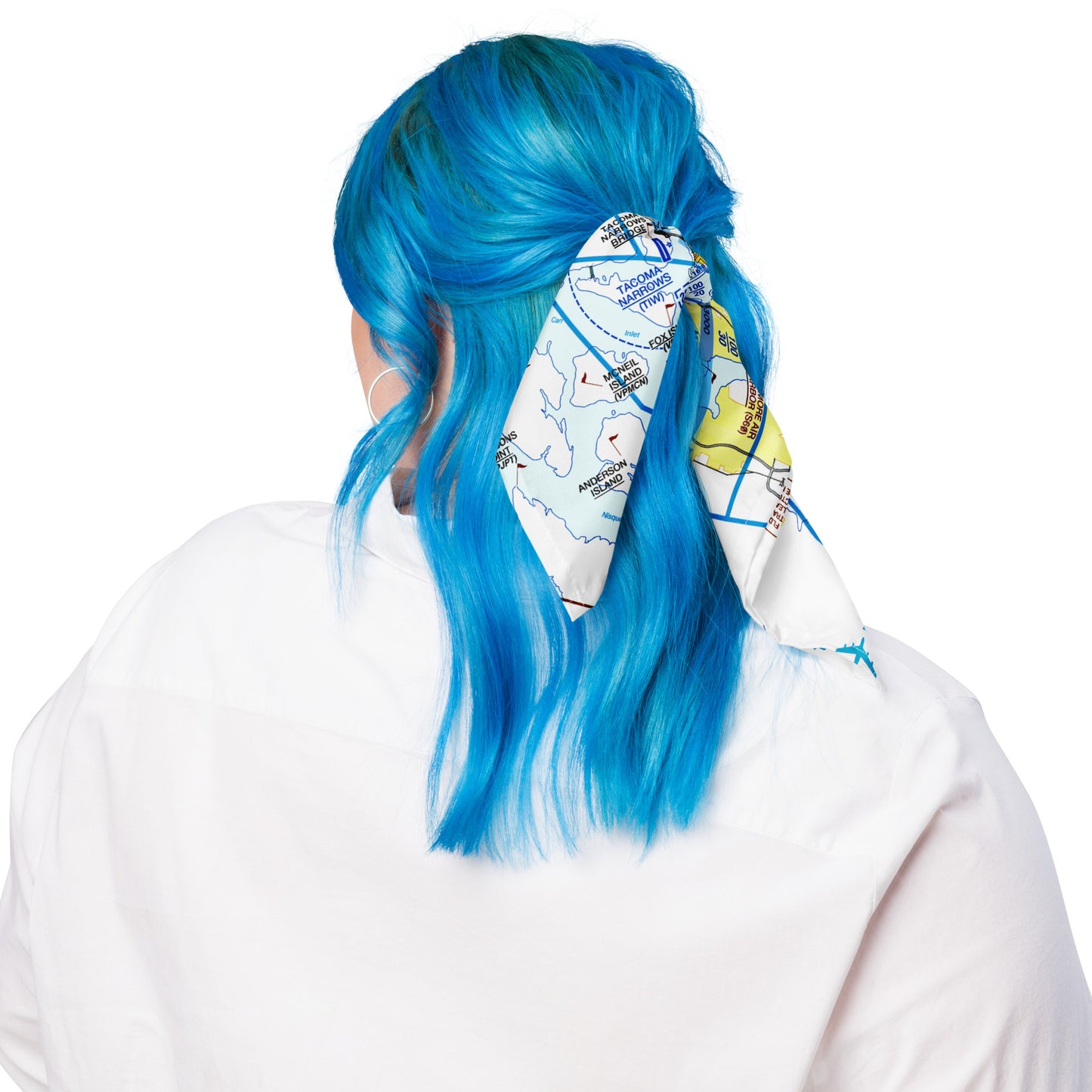 Seattle Flyway Chart bandana