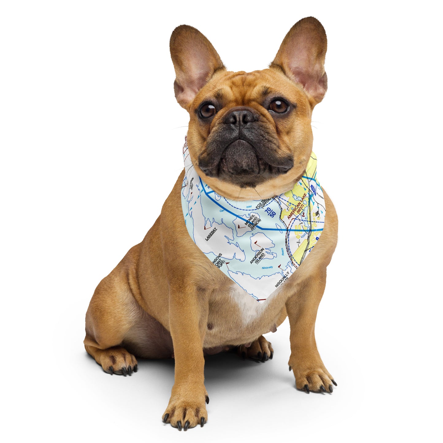Seattle Flyway Chart bandana
