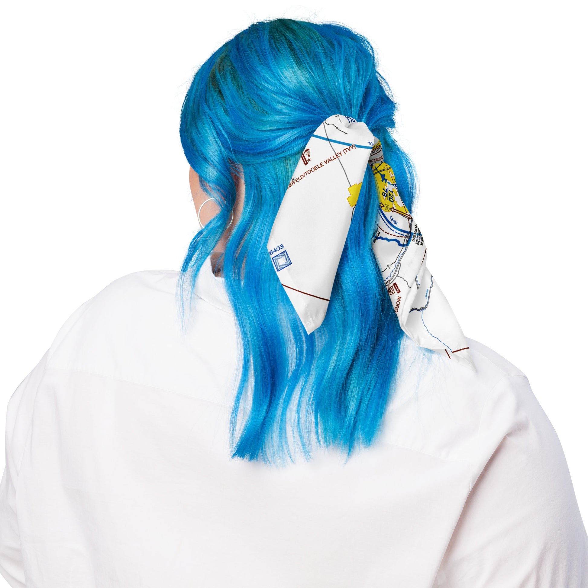 Salt Lake City Flyway Chart bandana