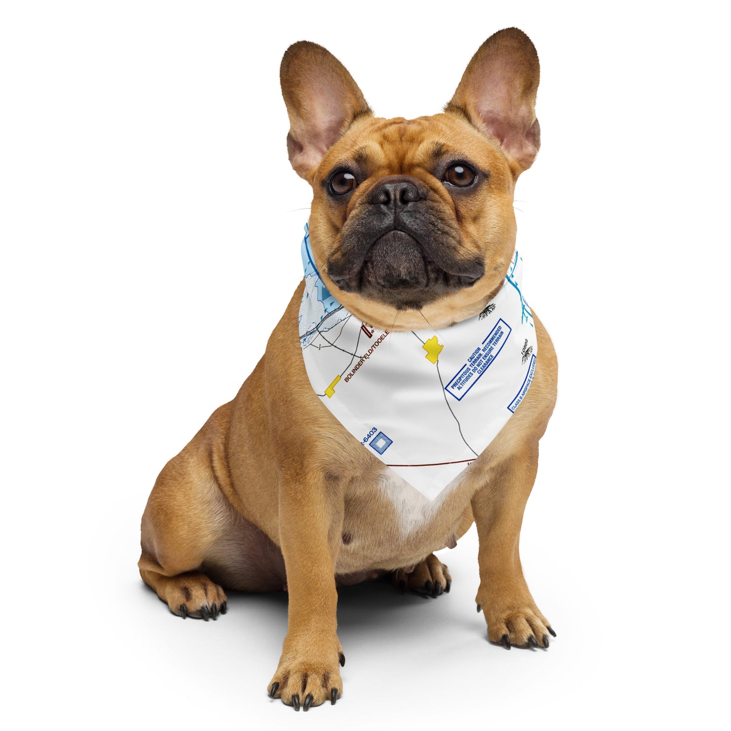 Salt Lake City Flyway Chart bandana