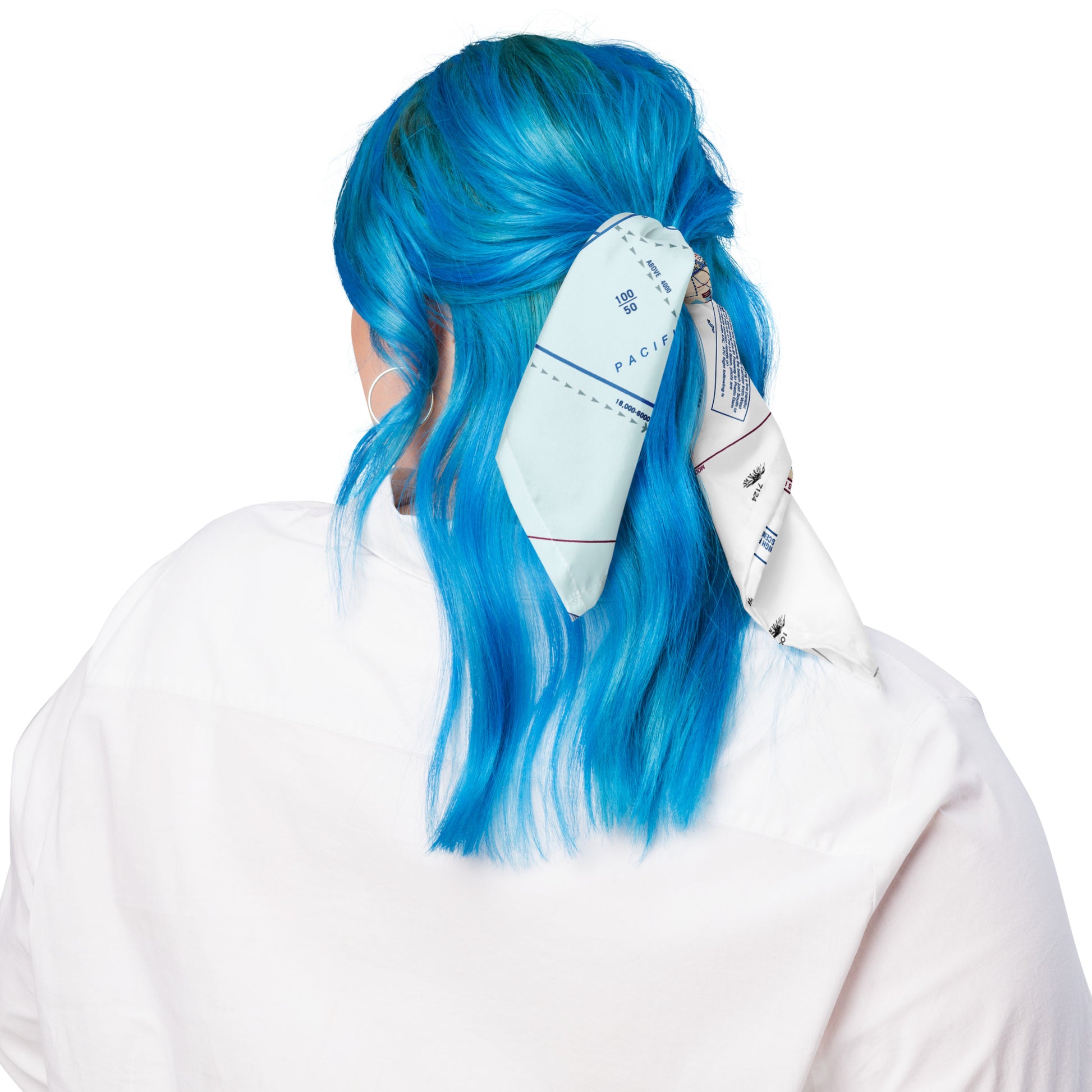 LAX Flyway Chart bandana