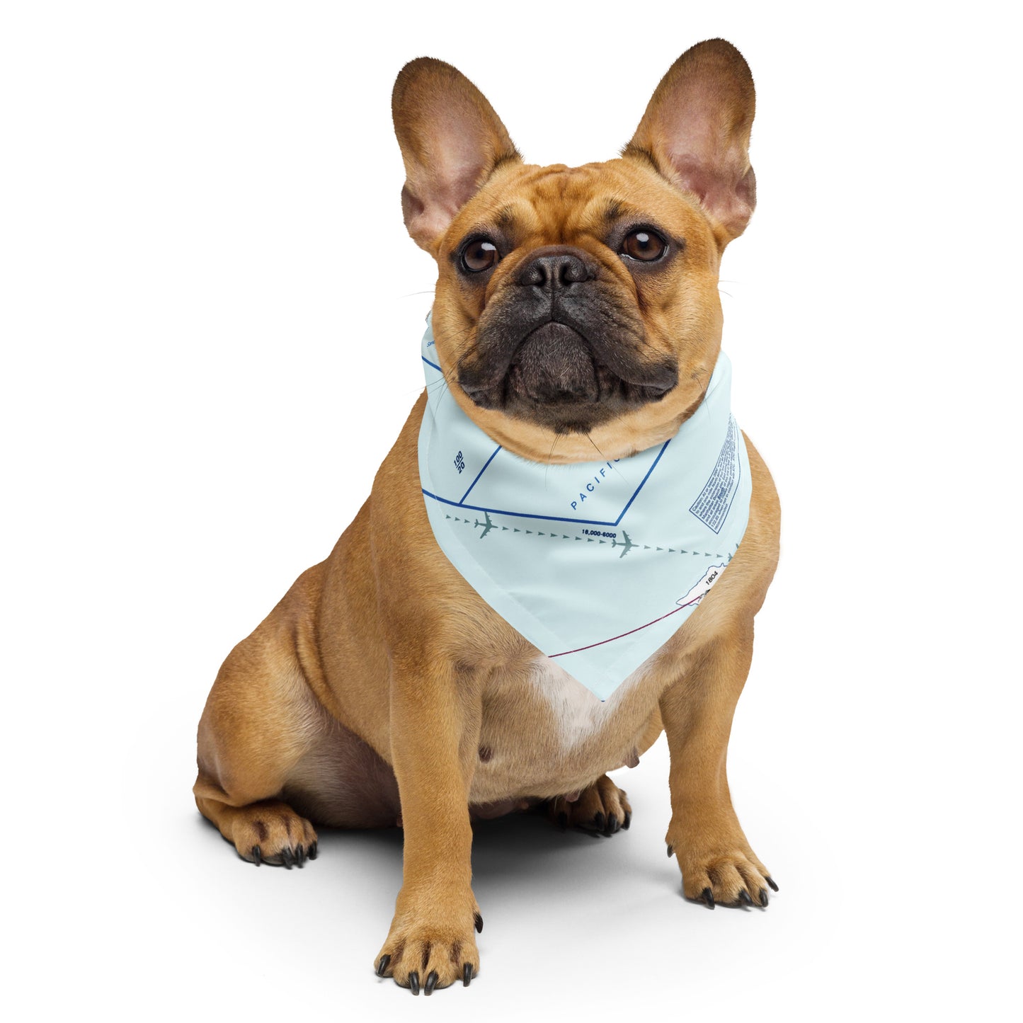 LAX Flyway Chart bandana